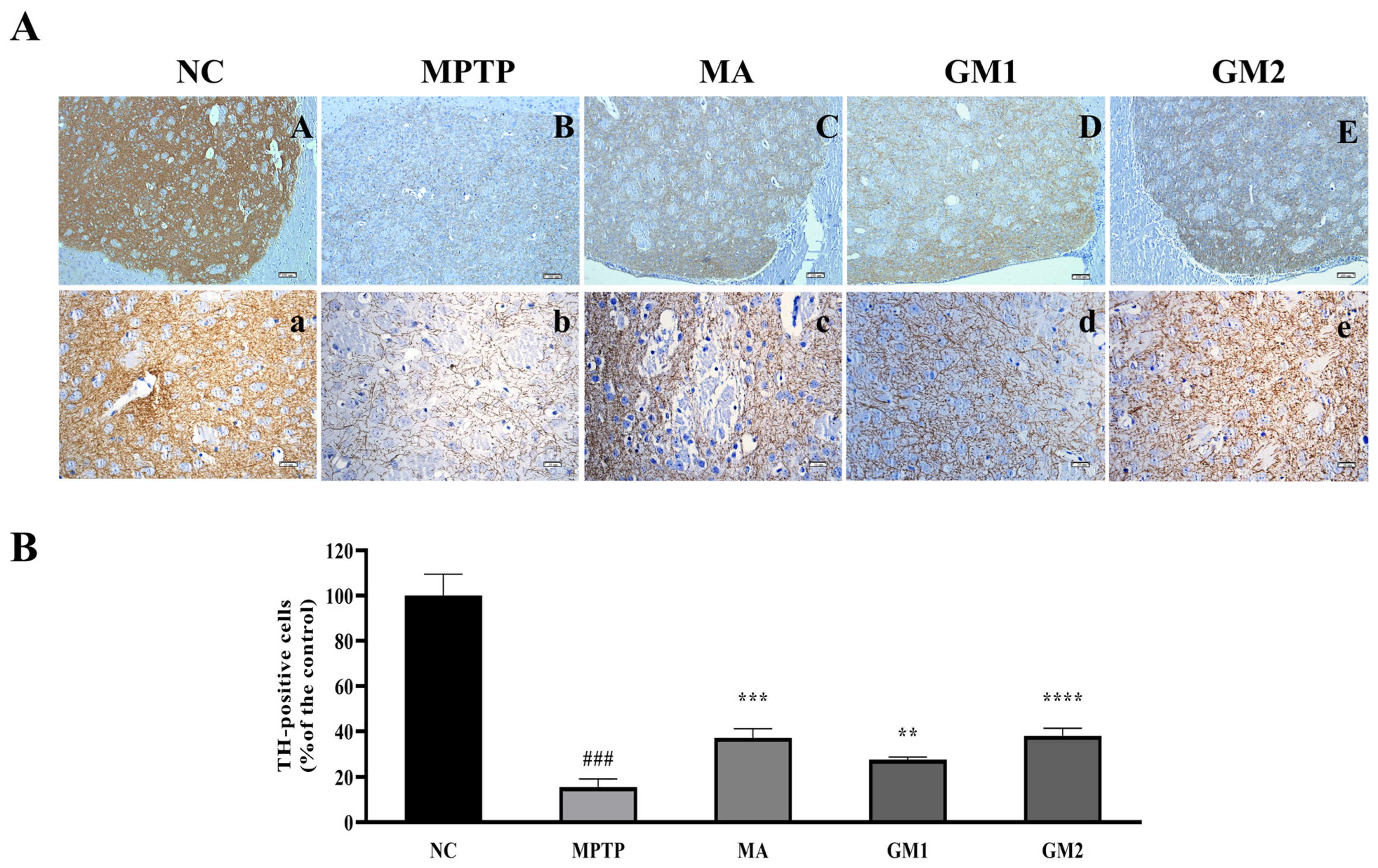 Marinedrugs 22 00193 g005