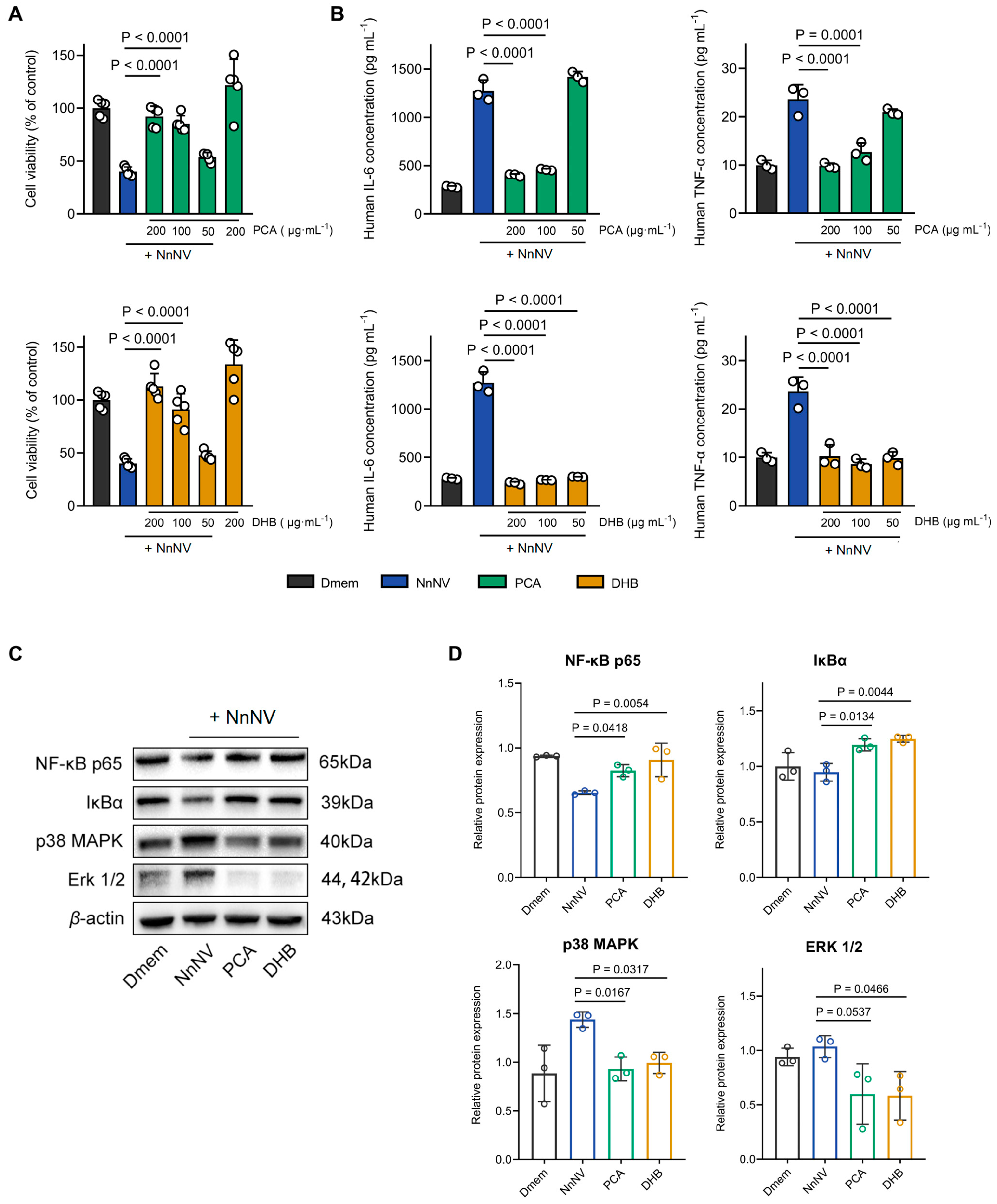 Marinedrugs 22 00205 g001
