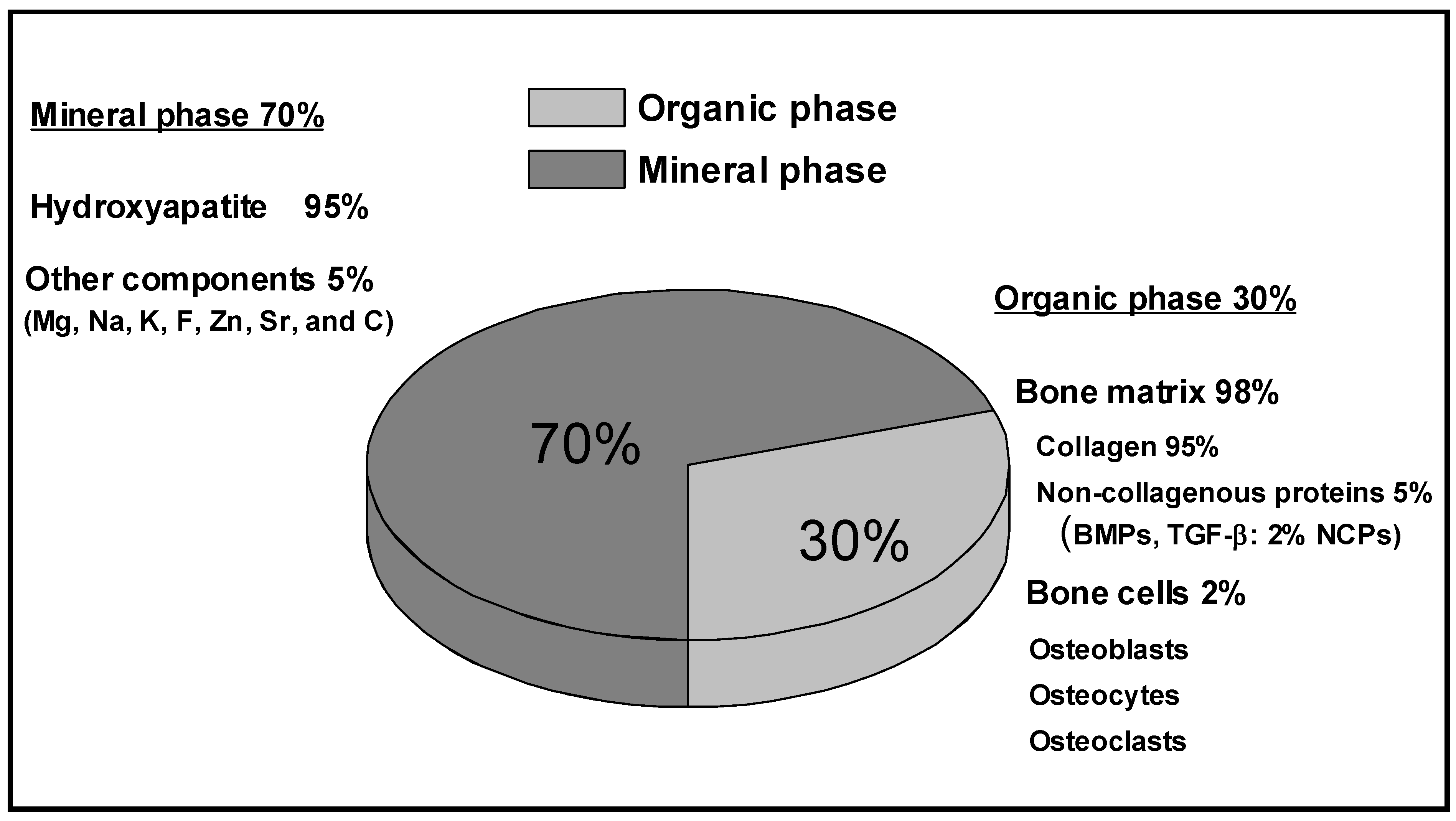 Materials | Free Full-Text | Metallic Scaffolds for Bone Regeneration