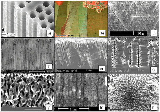 Macroporous Semiconductors Macroporous Semiconductors