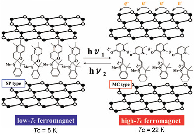 Progress of Multi Functional Properties of Organic-Inorganic Hybrid System, AFeIIFeIIIX3 A = n-CnH2n 14N, Spiropyran; X = C2O2S2, C2OS3, C2O3S Progress of Multi Functional Properties of Organic-Inorganic Hybrid System, AFeIIFeIIIX3 A = n-CnH2n 14N, Spiropyran; X = C2O2S2, C2OS3, C2O3S