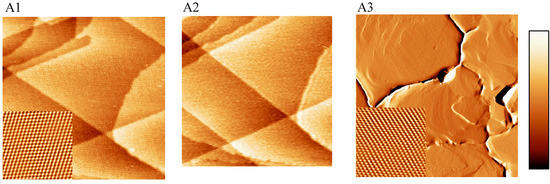 STM, SECPM, AFM and Electrochemistry on Single Crystalline Surfaces STM, SECPM, AFM and Electrochemistry on Single Crystalline Surfaces