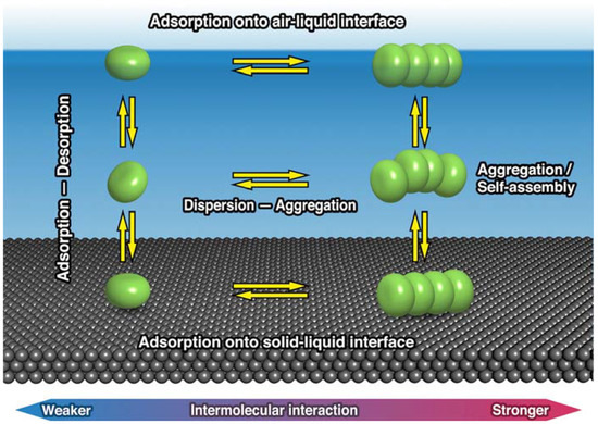 Molecular Dynamics in Two-Dimensional Supramolecular Systems Observed by STM Molecular Dynamics in Two-Dimensional Supramolecular Systems Observed by STM
