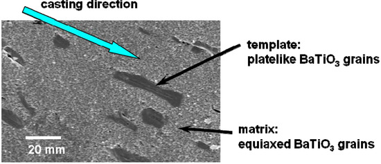 Mechanisms of Texture Development in Lead-Free Piezoelectric Ceramics with Perovskite Structure Made by the Templated Grain Growth Process Mechanisms of Texture Development in Lead-Free Piezoelectric Ceramics with Perovskite Structure Made by the Templated Grain Growth Process