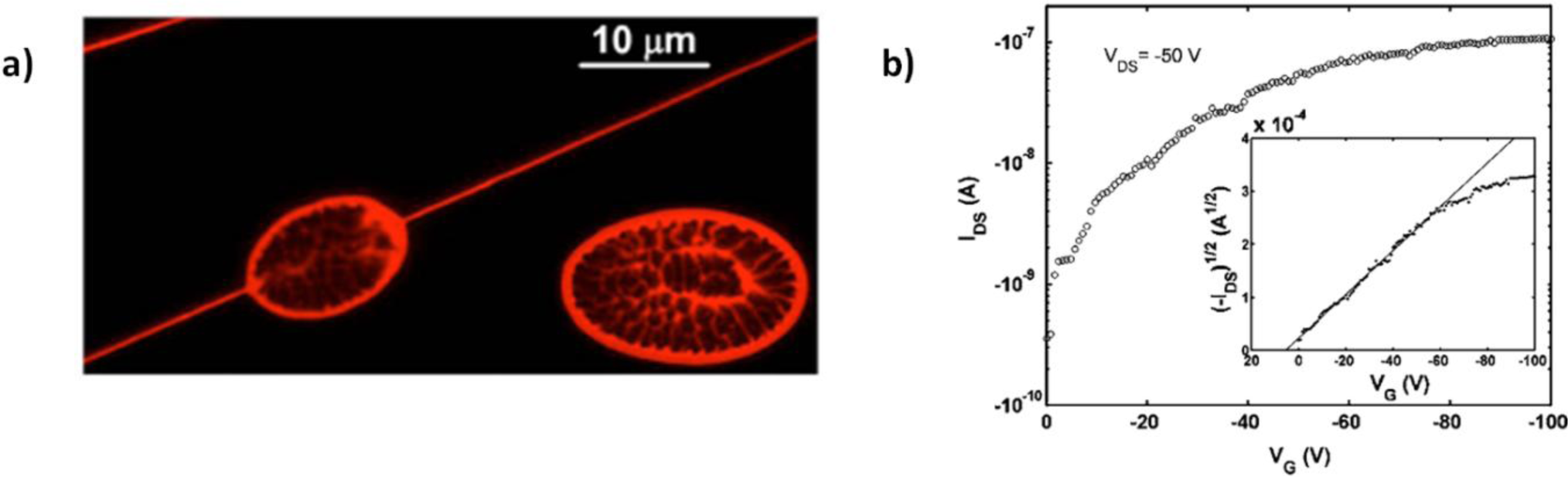 Materials 07 00906f9 1024