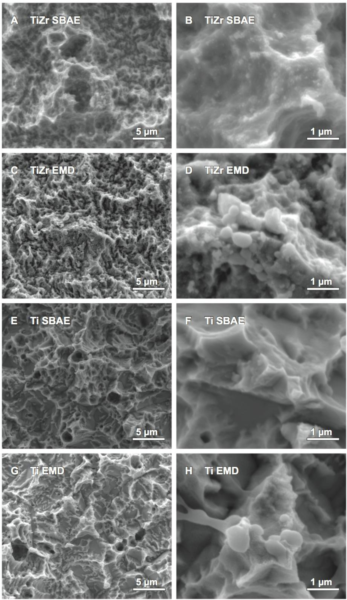 Materials 07 02210f2 1024