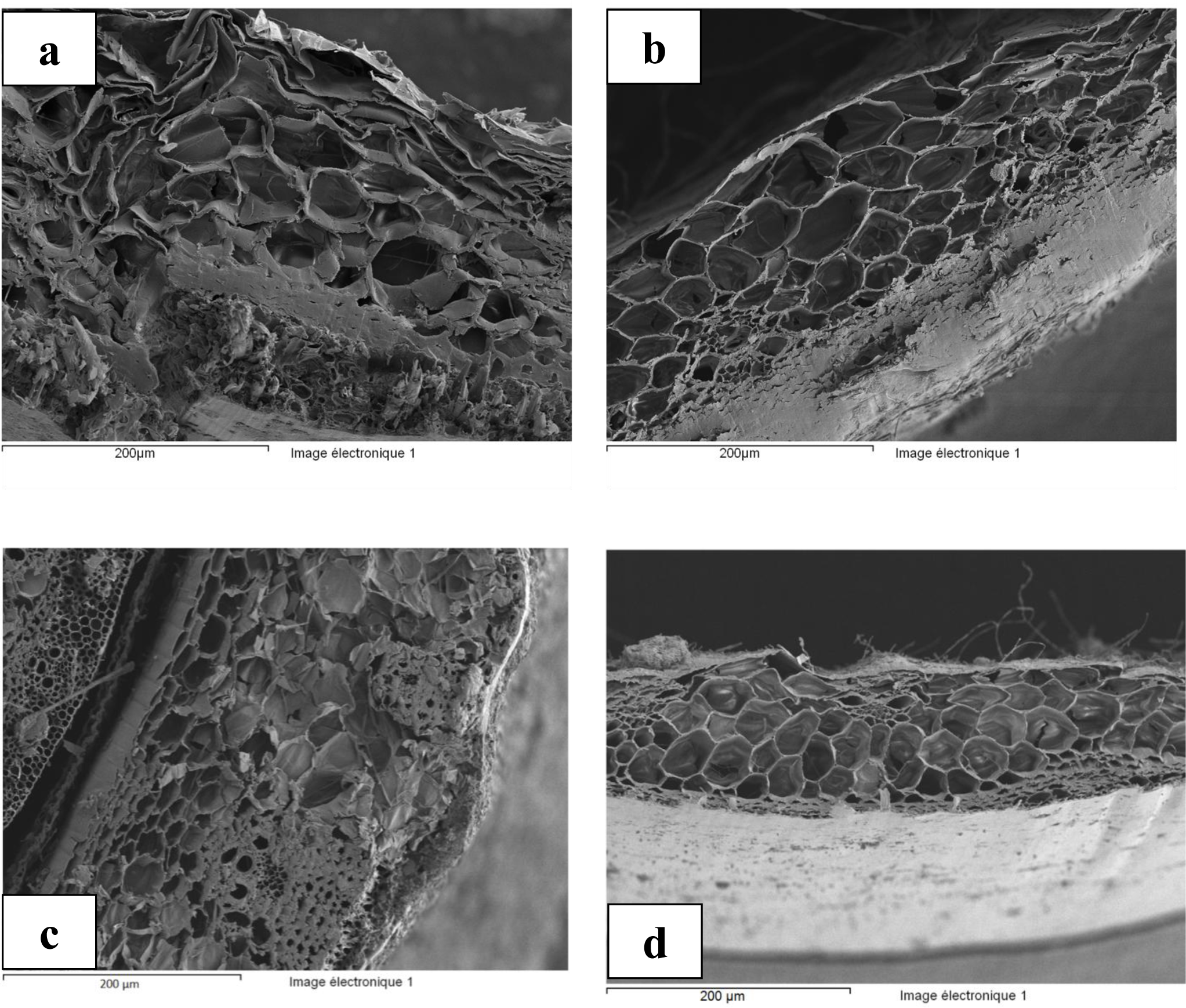 Materials 07 03034f3 1024