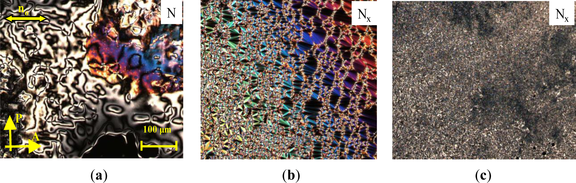 Materials 07 03494f5 1024