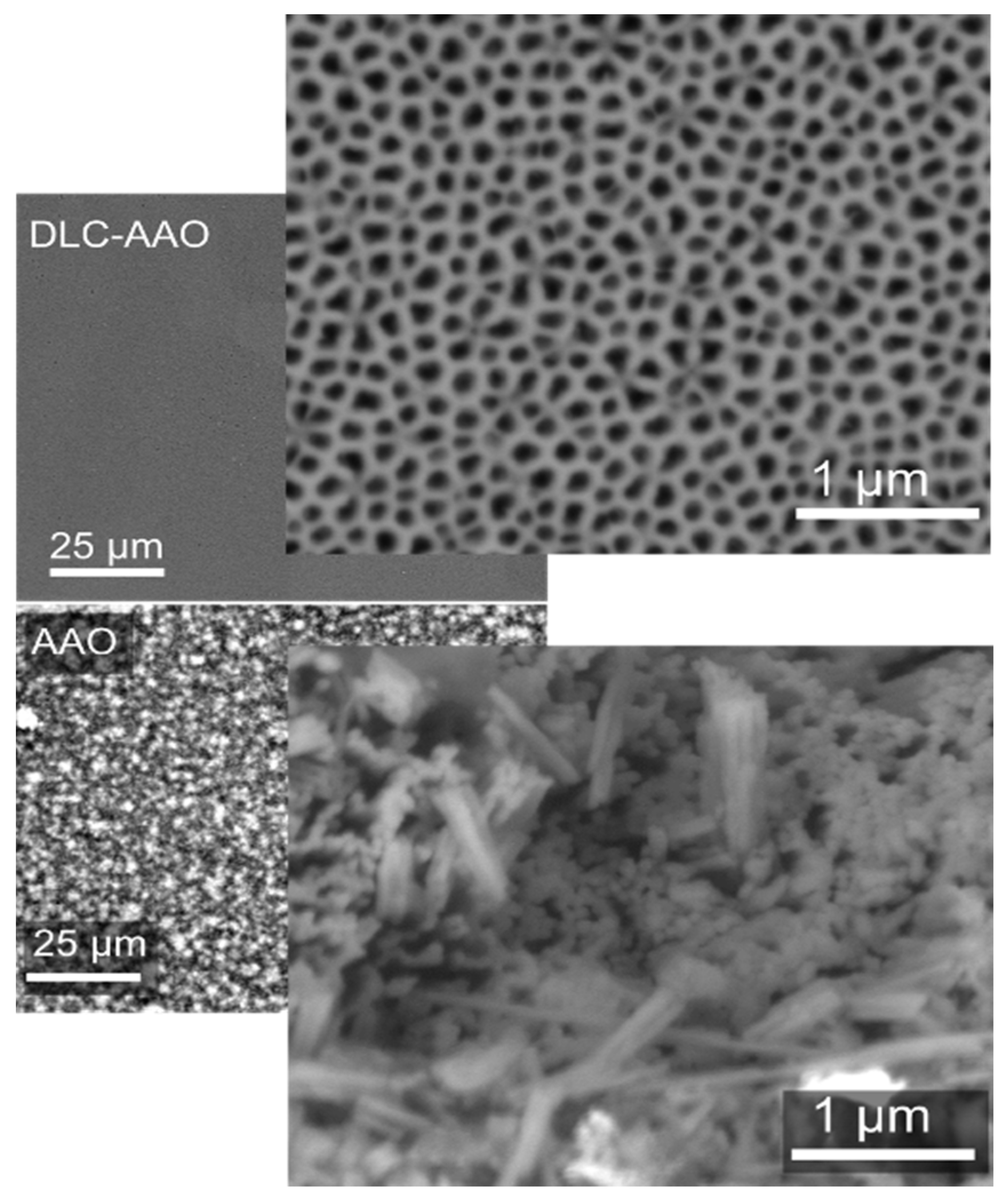 Materials 08 04992 g003