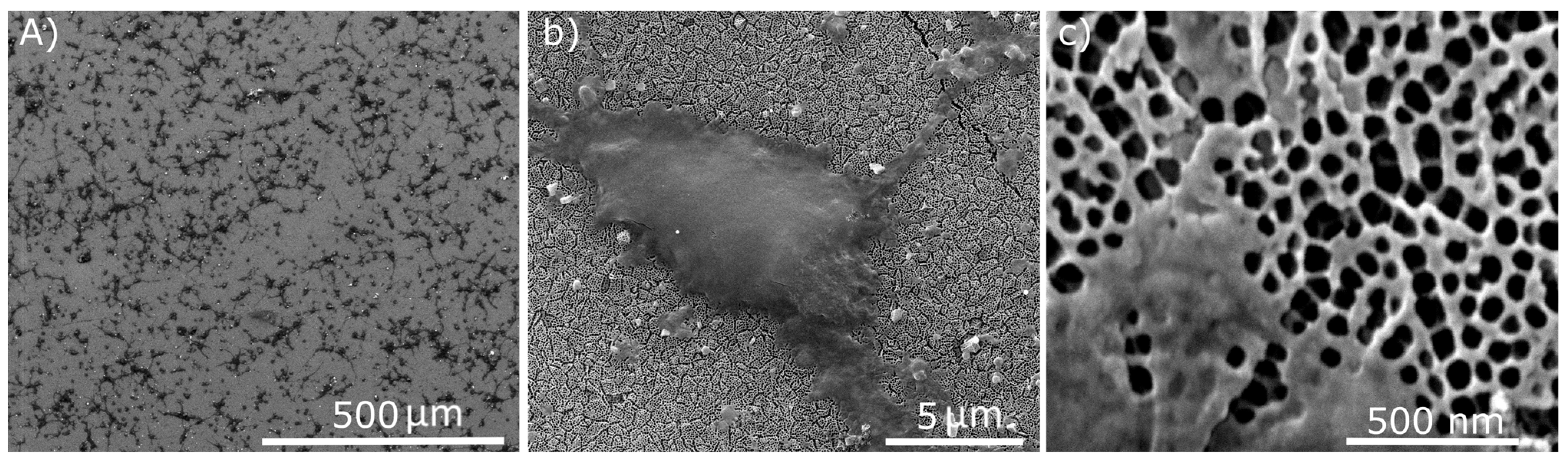 Materials 08 04992 g007