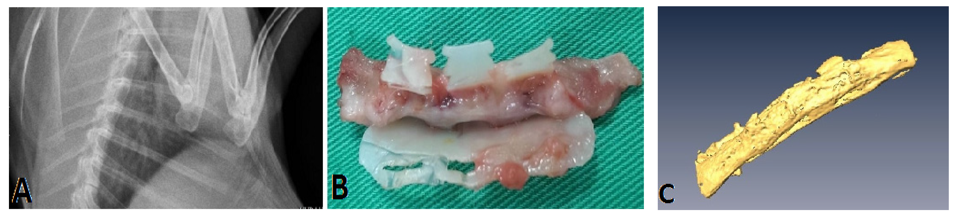 Materials 08 05415 g005