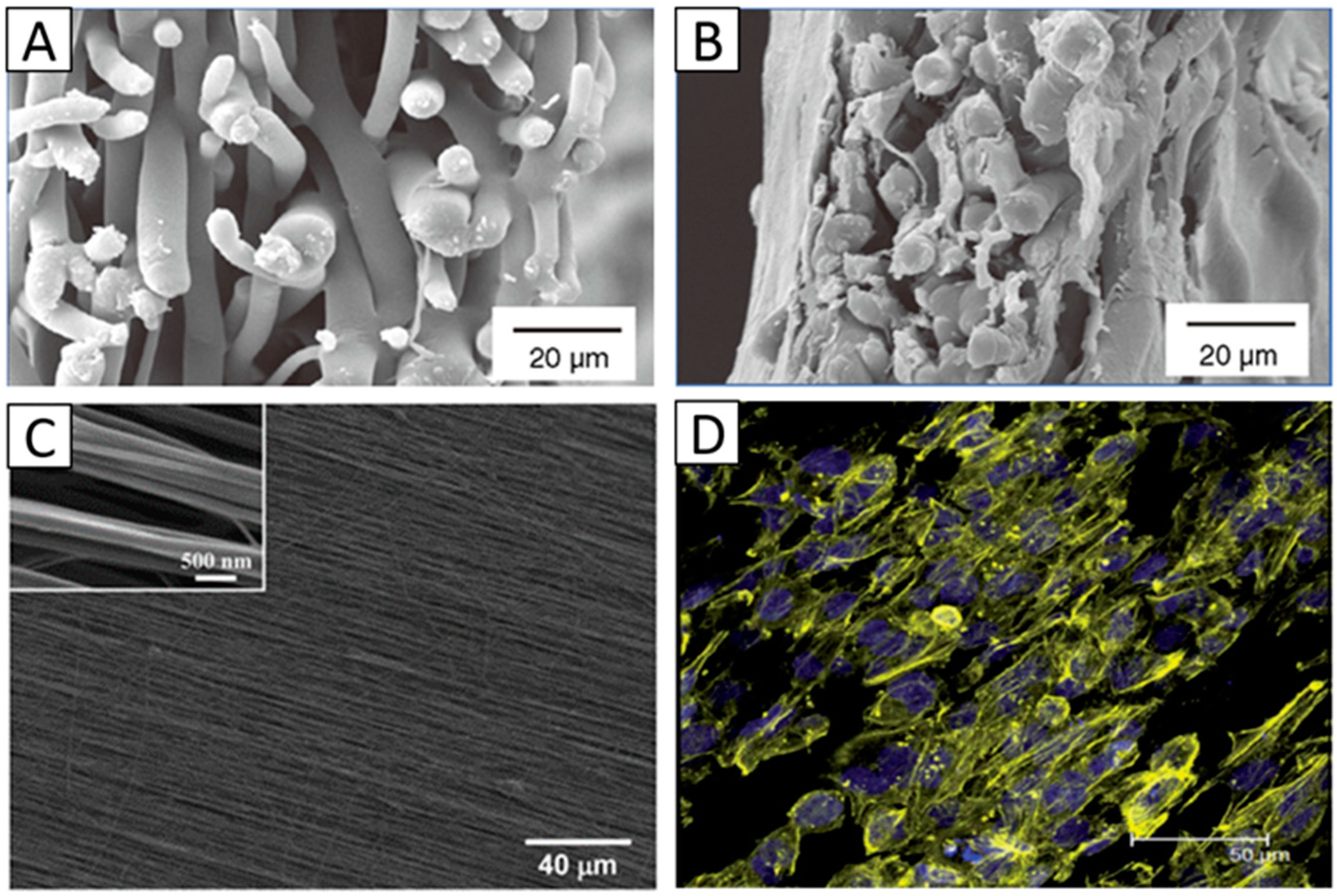 Materials 09 00614 g003