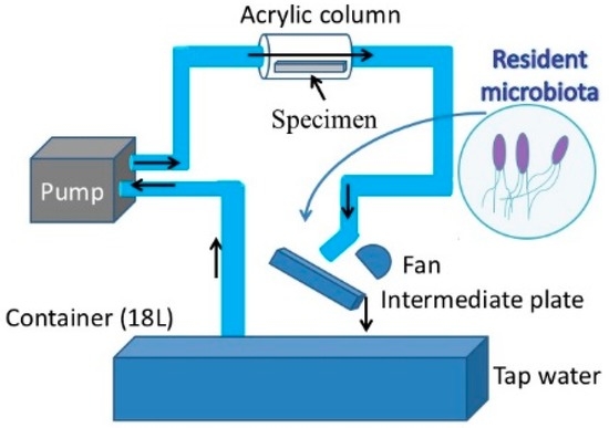 Application of a Loop-Type Laboratory Biofilm Reactor to the Evaluation of Biofilm for Some Metallic Materials and Polymers such as Urinary Stents and Catheters Application of a Loop-Type Laboratory Biofilm Reactor to the Evaluation of Biofilm for Some Metallic Materials and Polymers such as Urinary Stents and Catheters