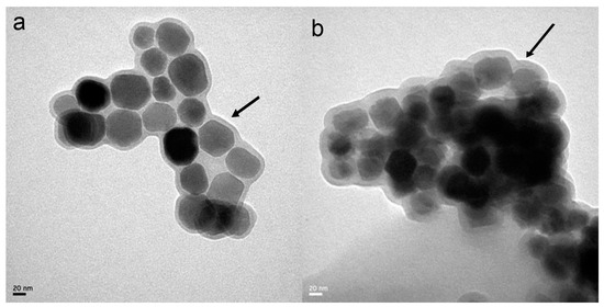 A Natural Bacterium-Produced Membrane-Bound Nanocarrier for Drug Combination Therapy A Natural Bacterium-Produced Membrane-Bound Nanocarrier for Drug Combination Therapy