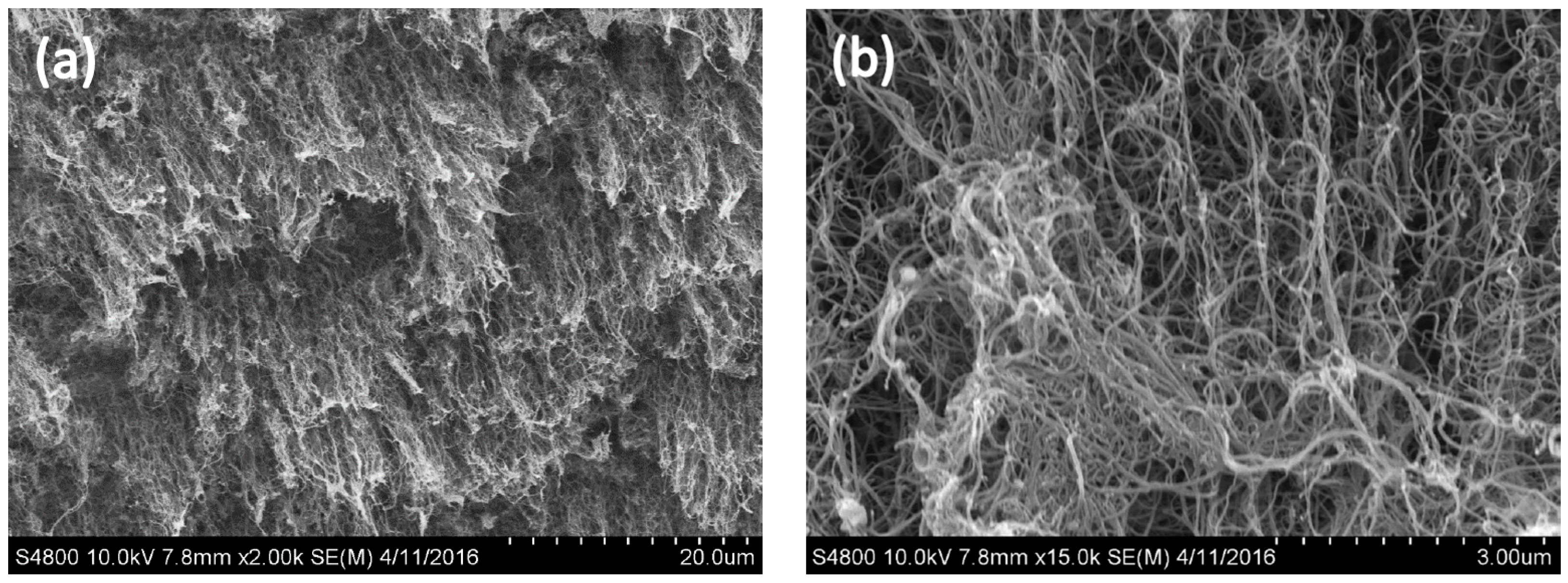 Materials 10 00169 g006