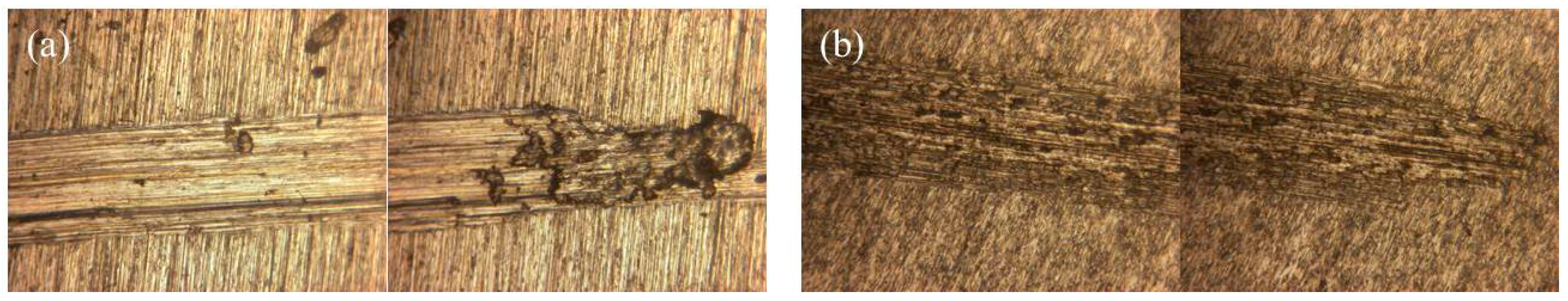 Materials 10 00194 g007