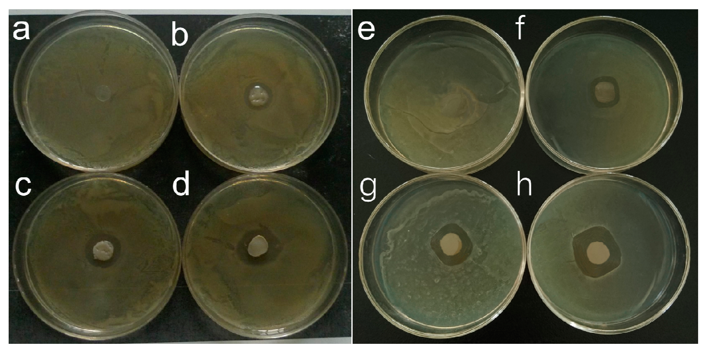 Materials 10 00524 g007