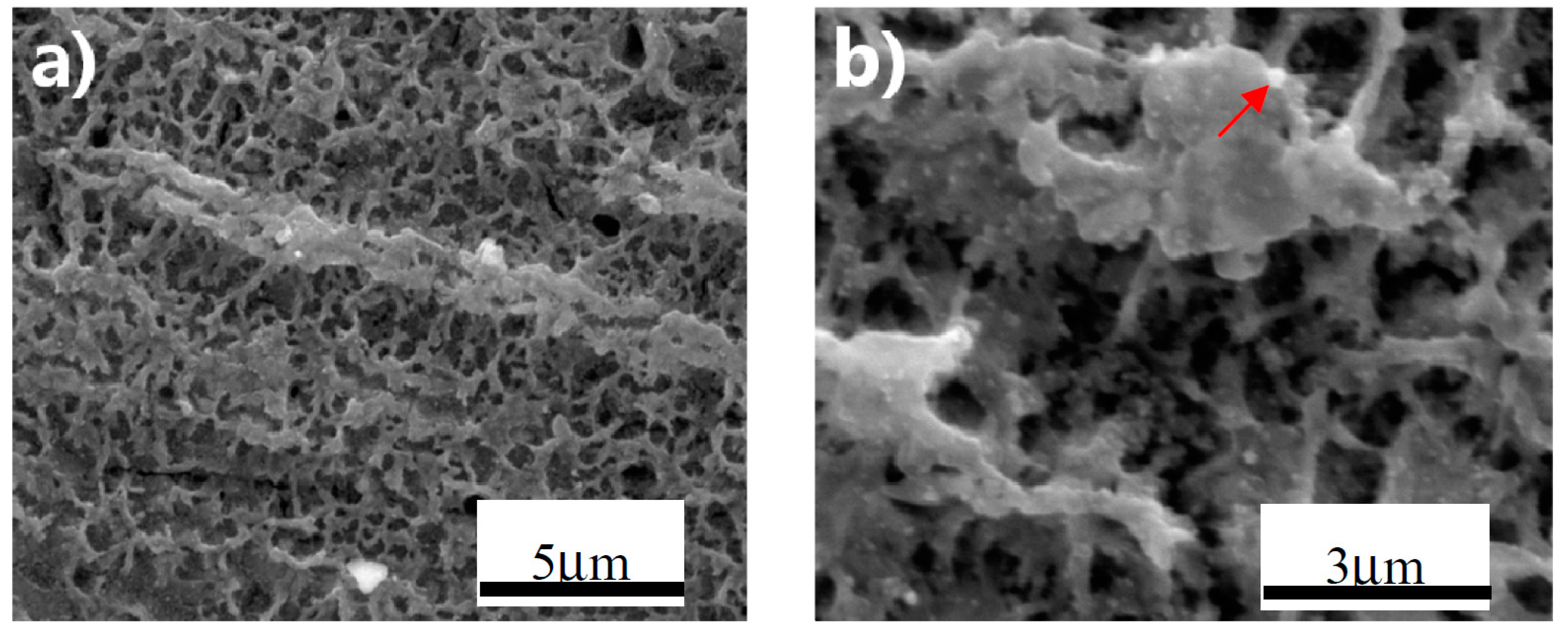 Materials 10 00628 g001