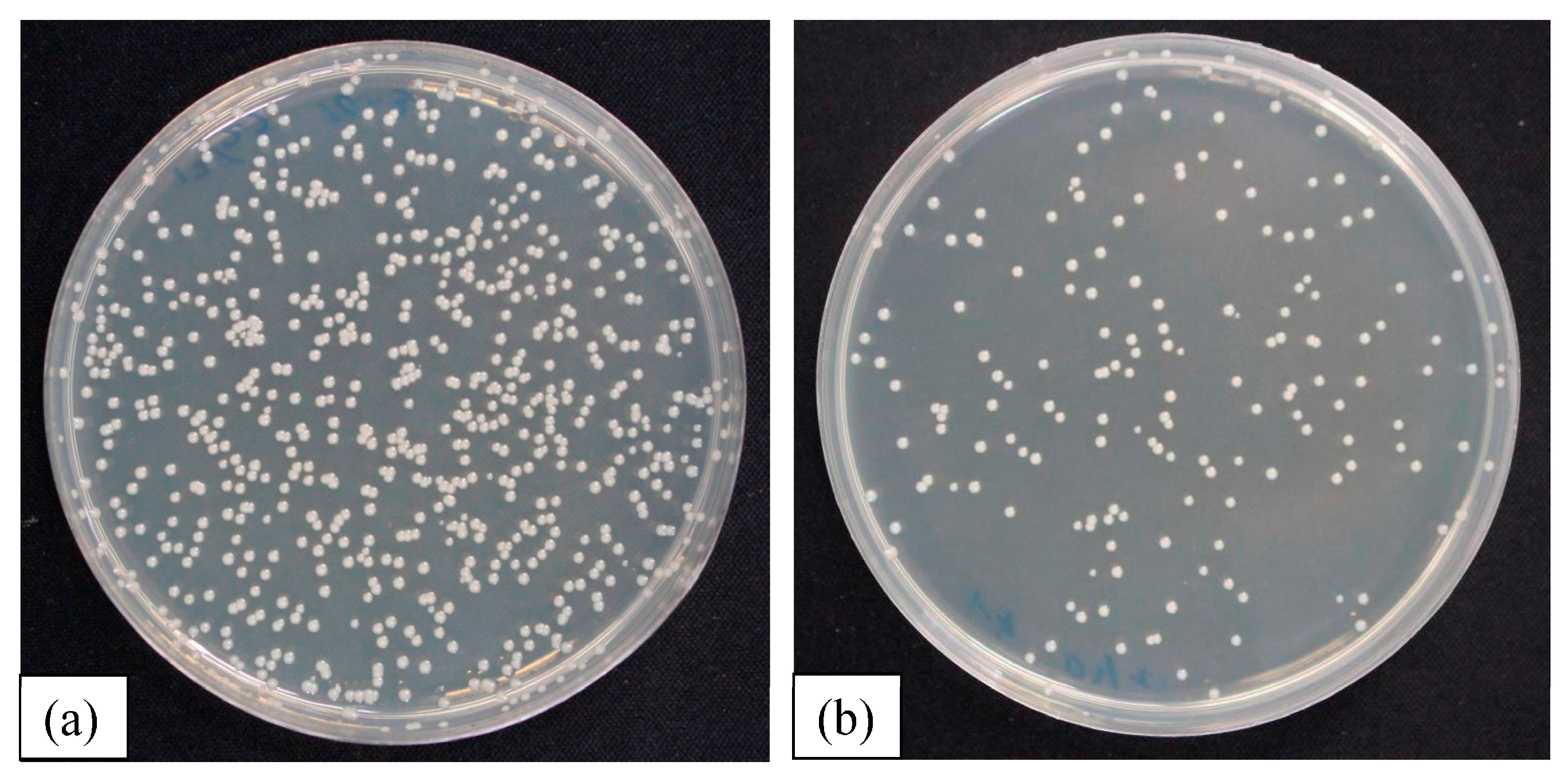 Materials 10 01189 g009