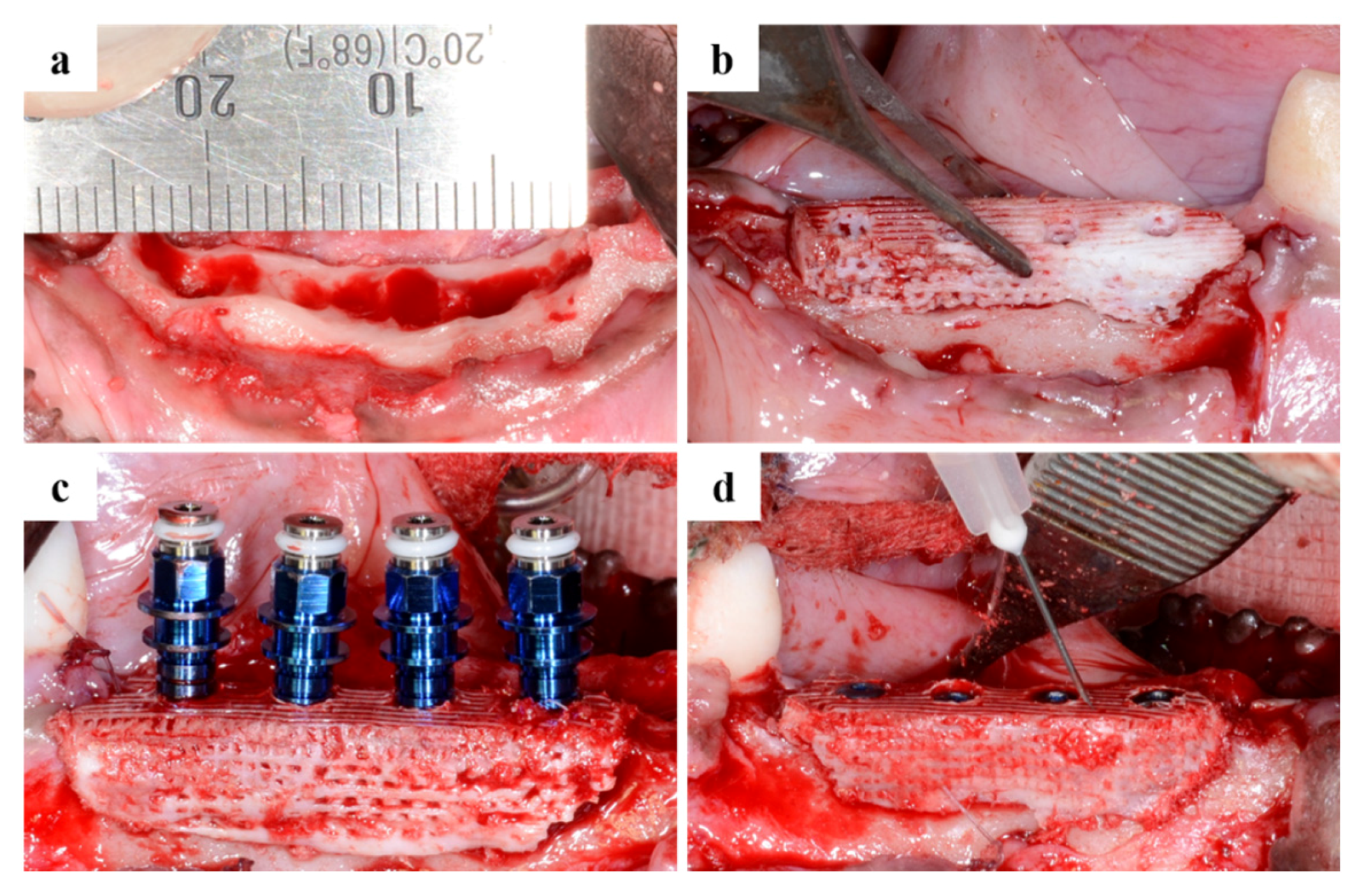 Materials 10 01434 g014