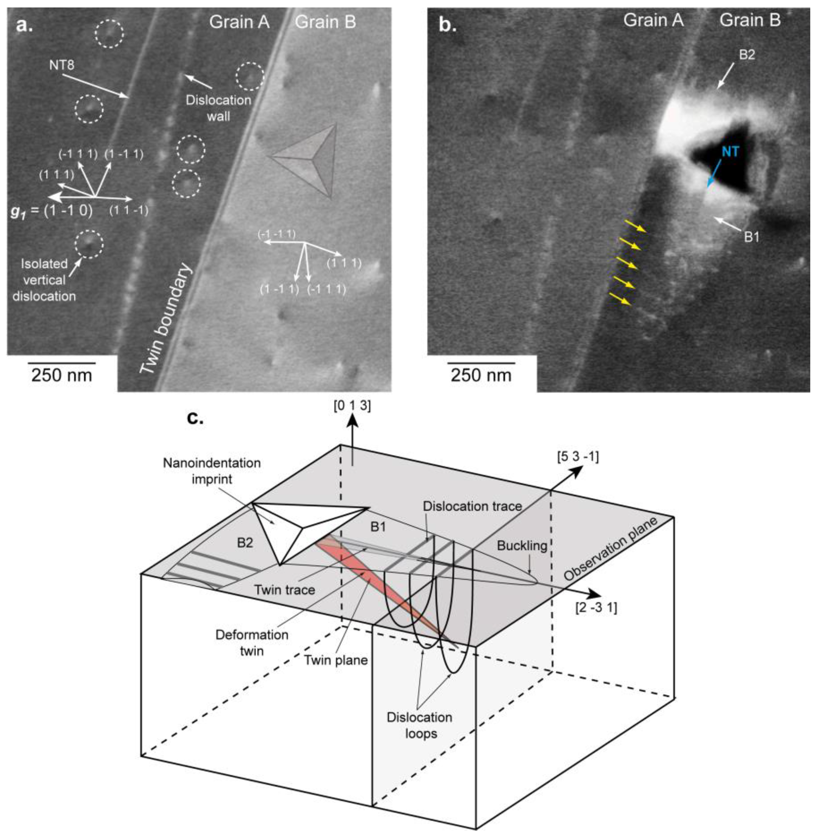 Materials 11 00305 g003