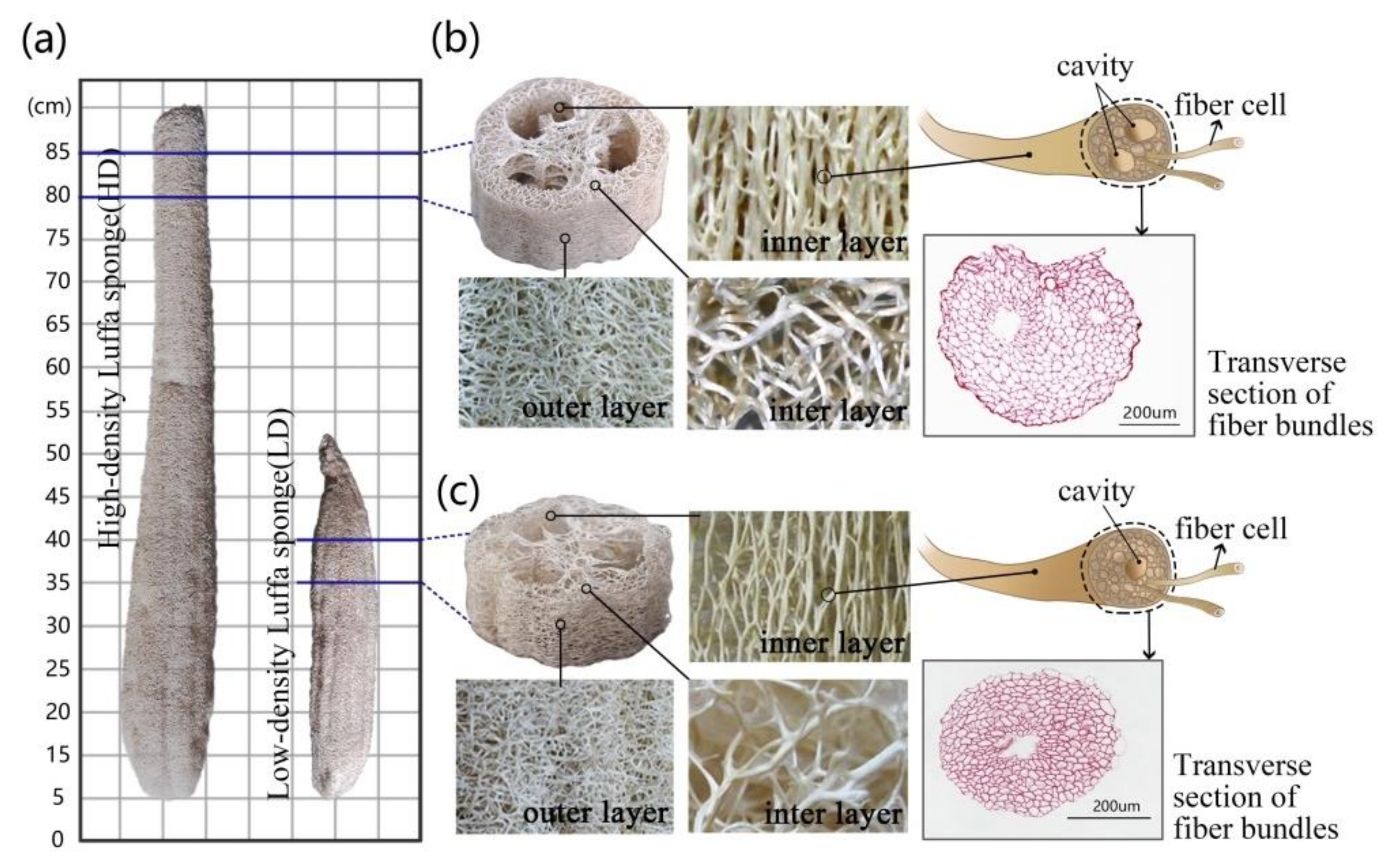Materials 11 00541 g001