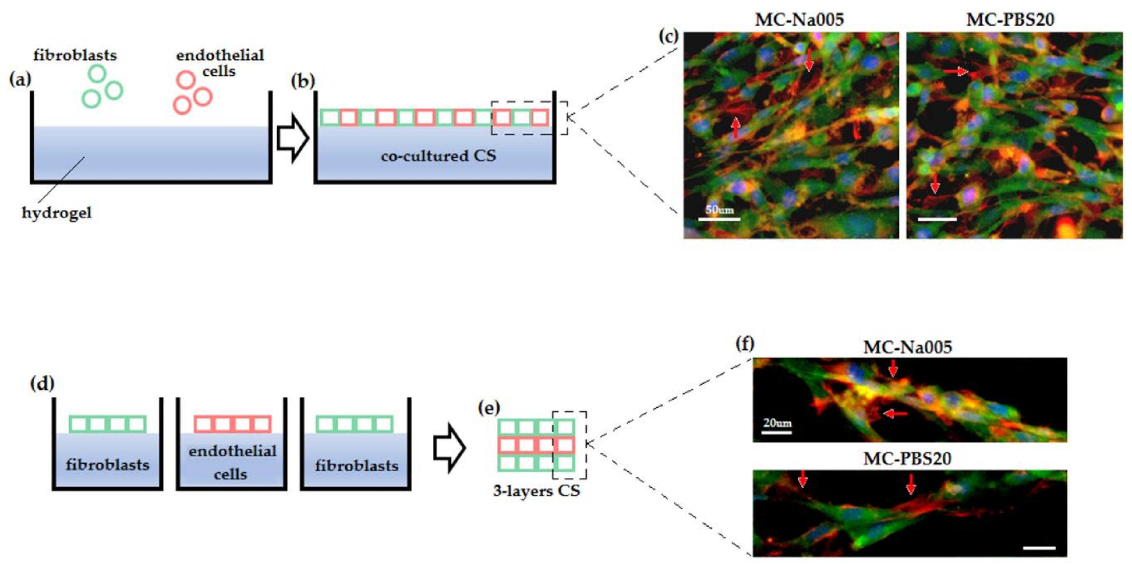 Materials 11 00579 g009