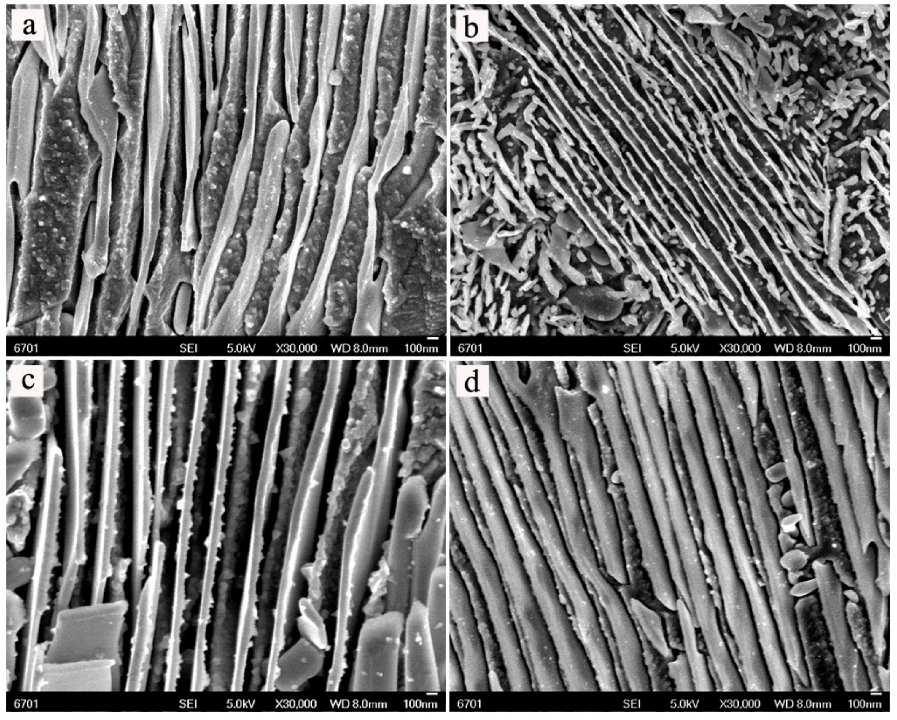 Materials 11 01108 g005