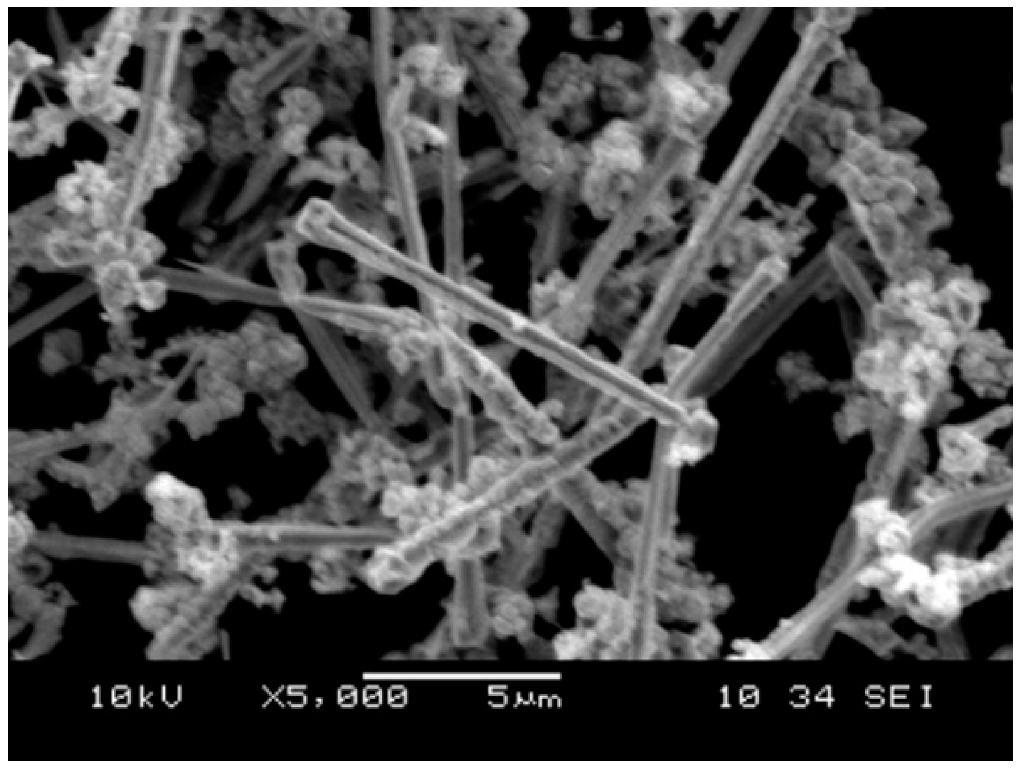 Materials 11 01477 g003