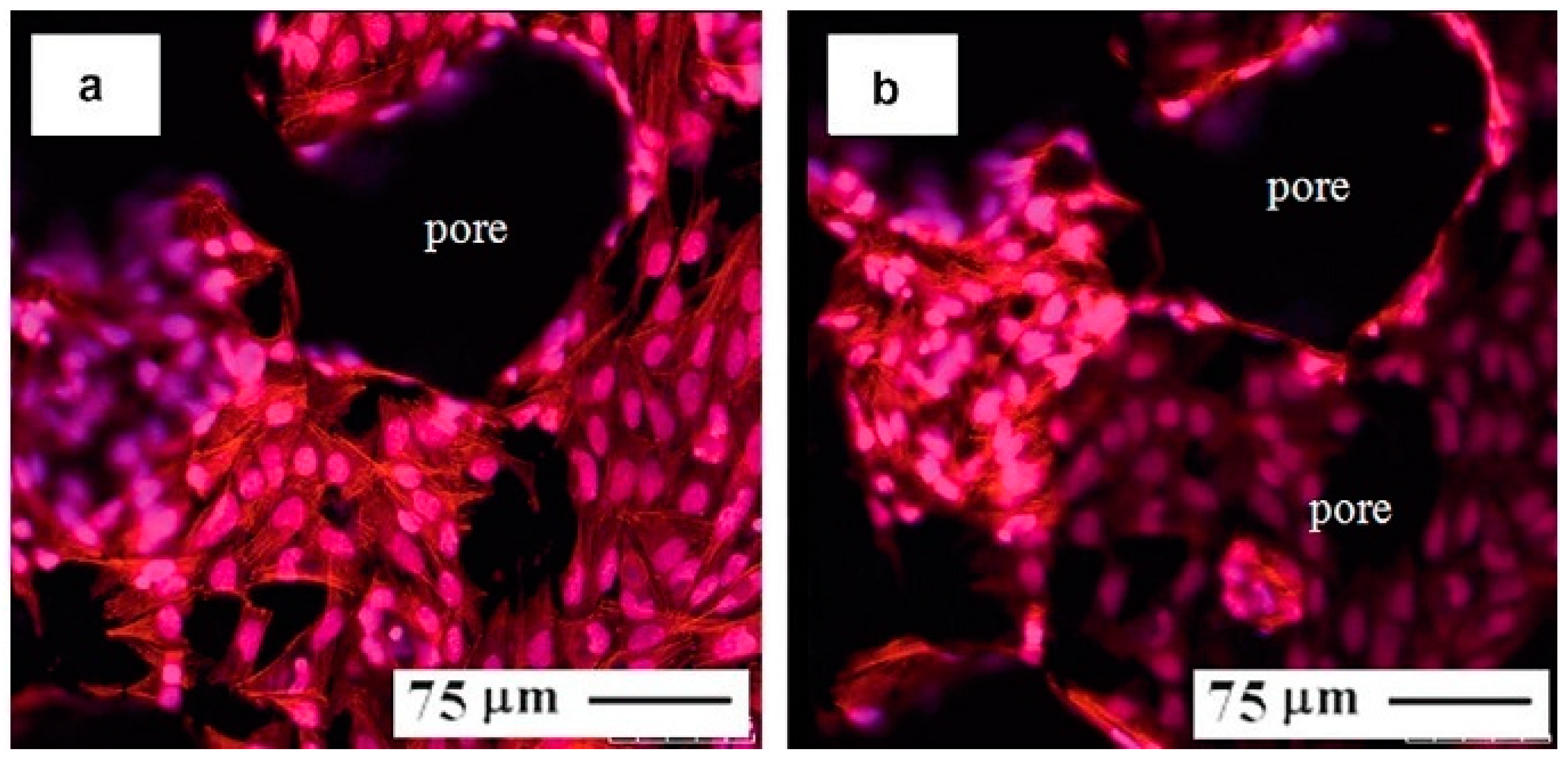 Materials 11 01716 g042