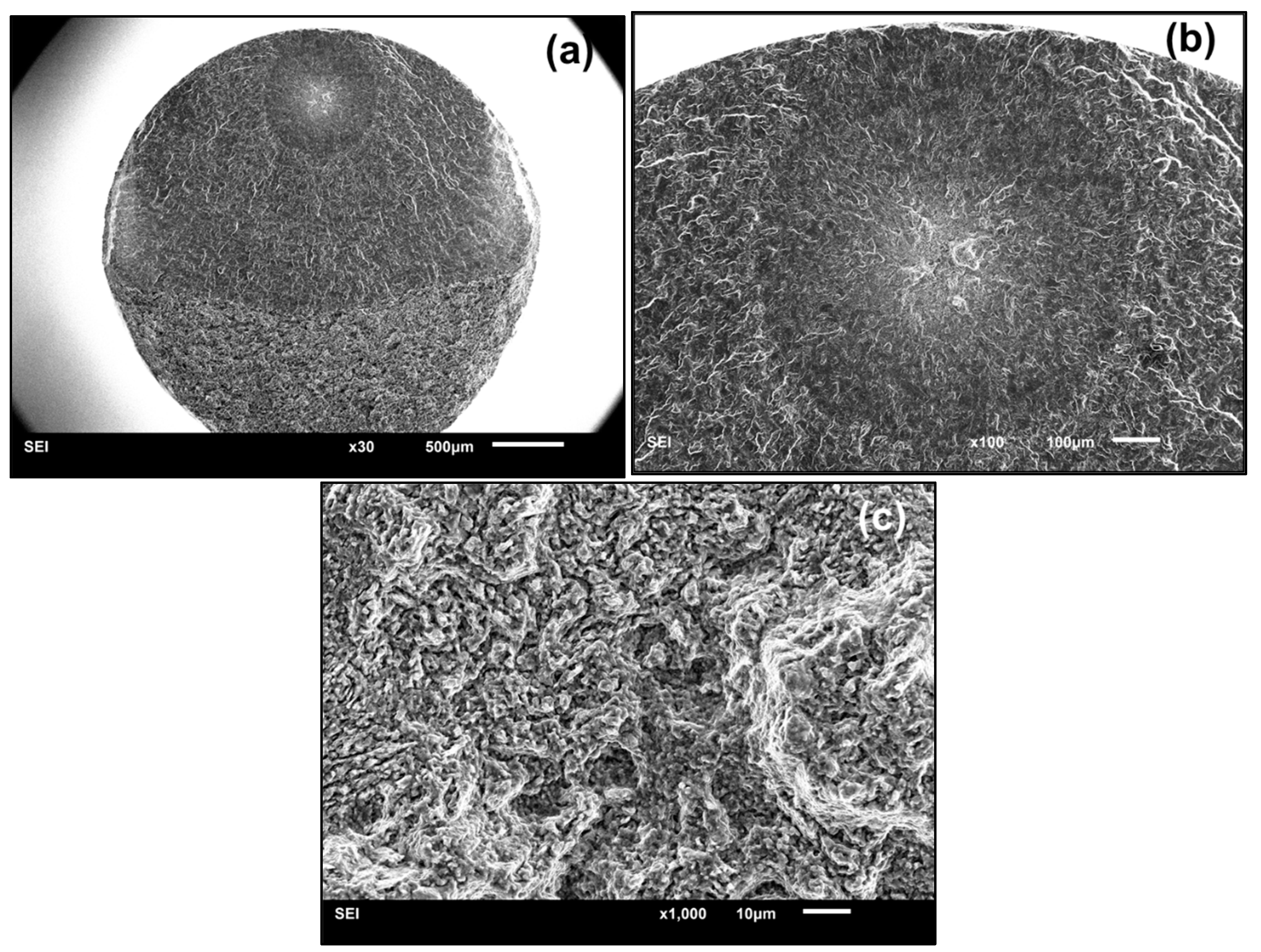Materials 11 01778 g004