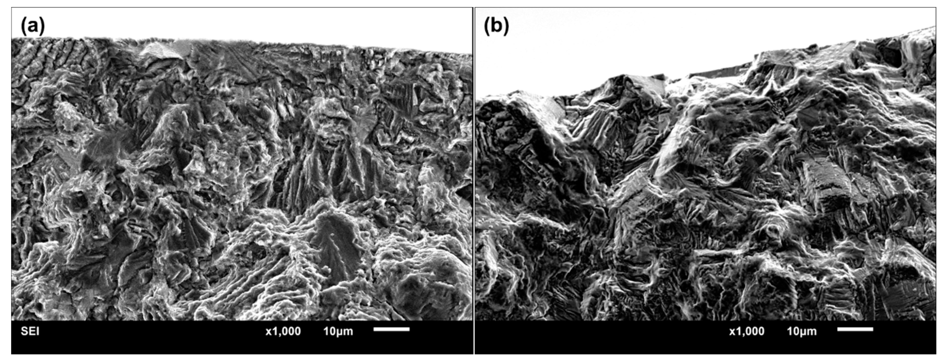 Materials 11 01778 g006