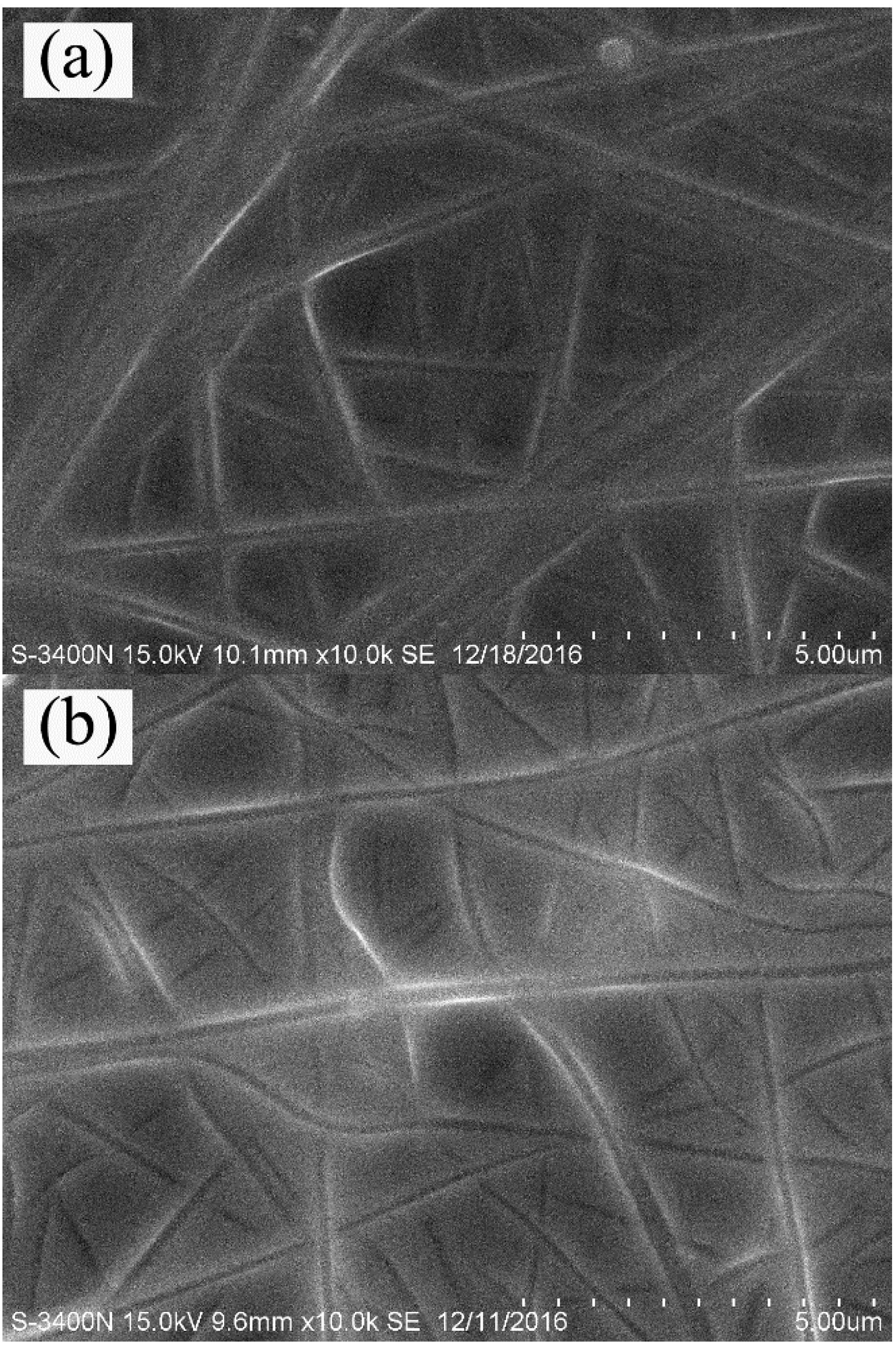 Materials 11 01785 g002a