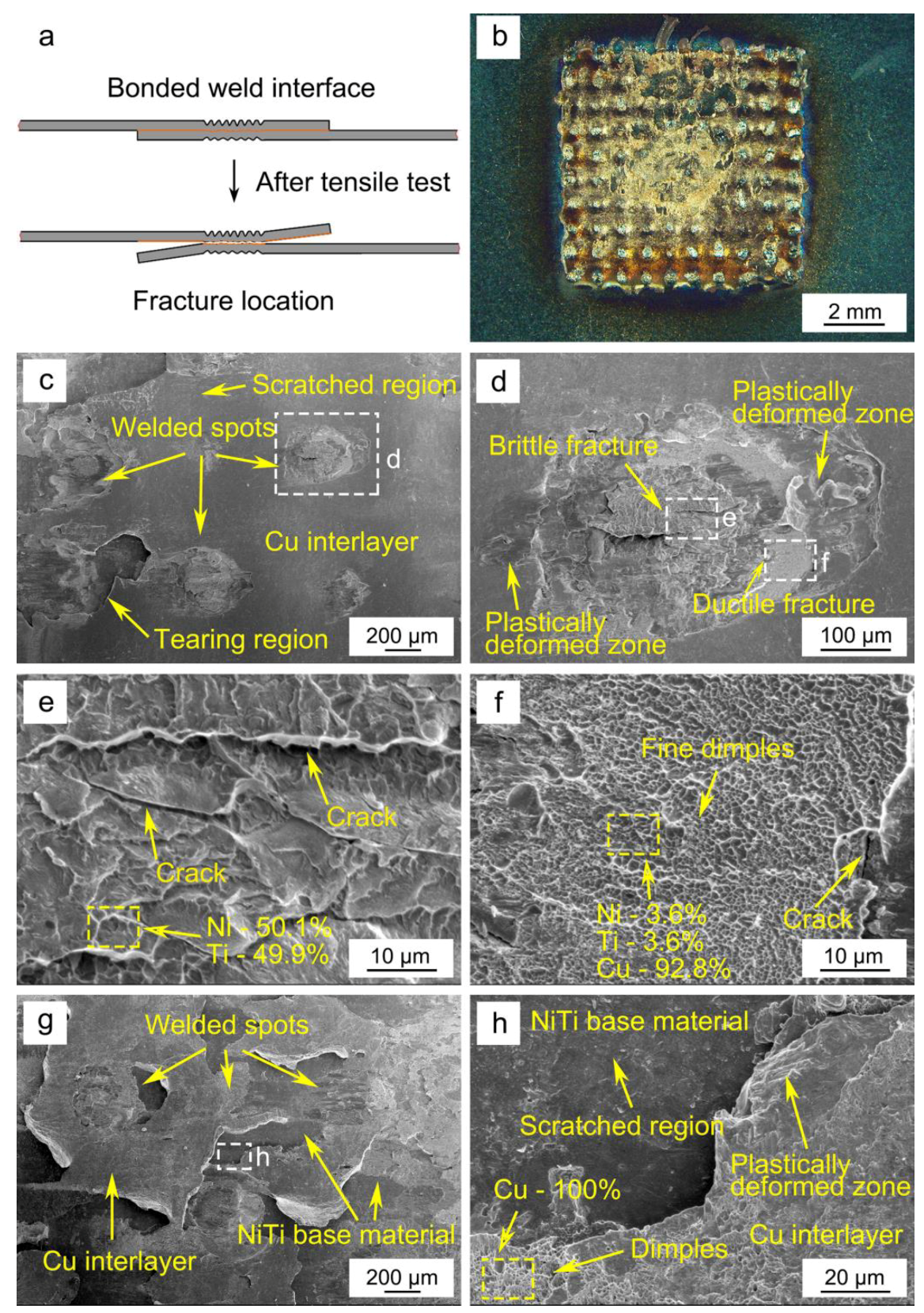 Materials 11 01830 g007