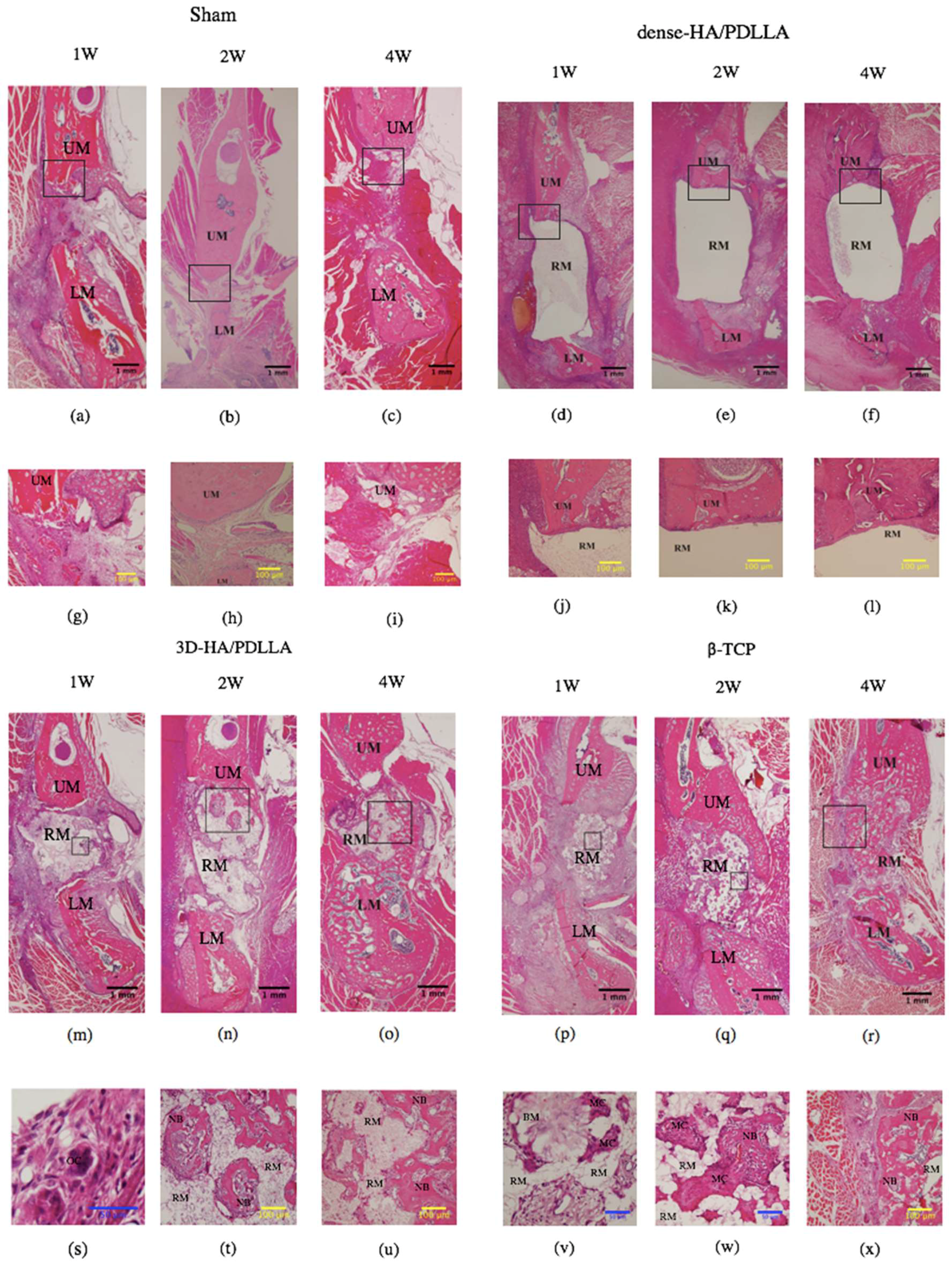 Materials 11 02047 g004