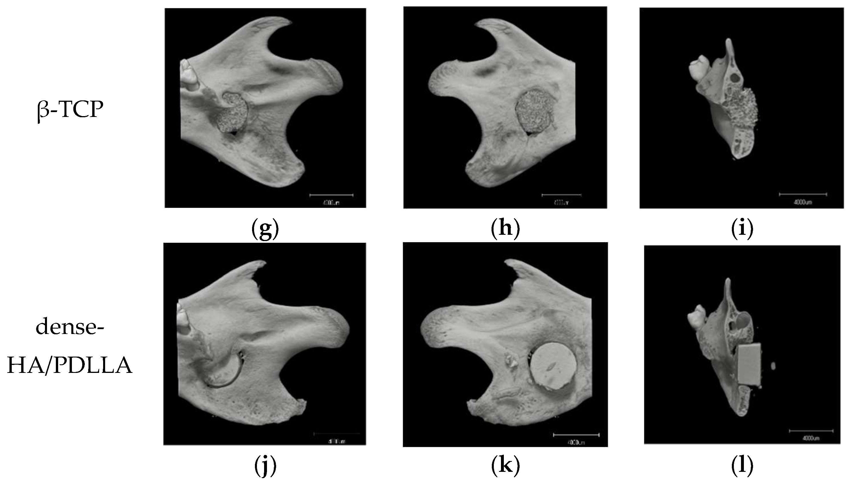 Materials 11 02047 g006b
