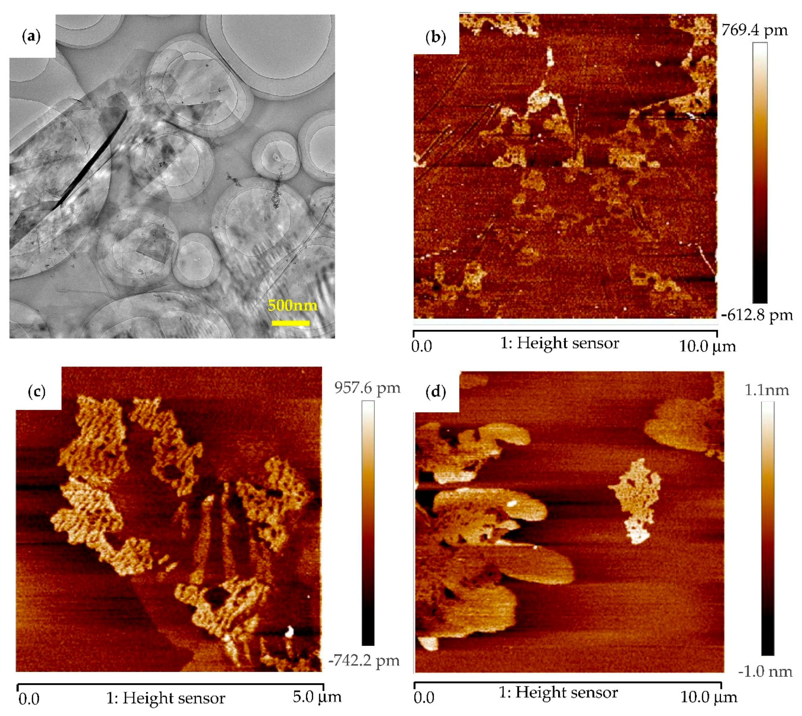 Materials 11 02071 g004