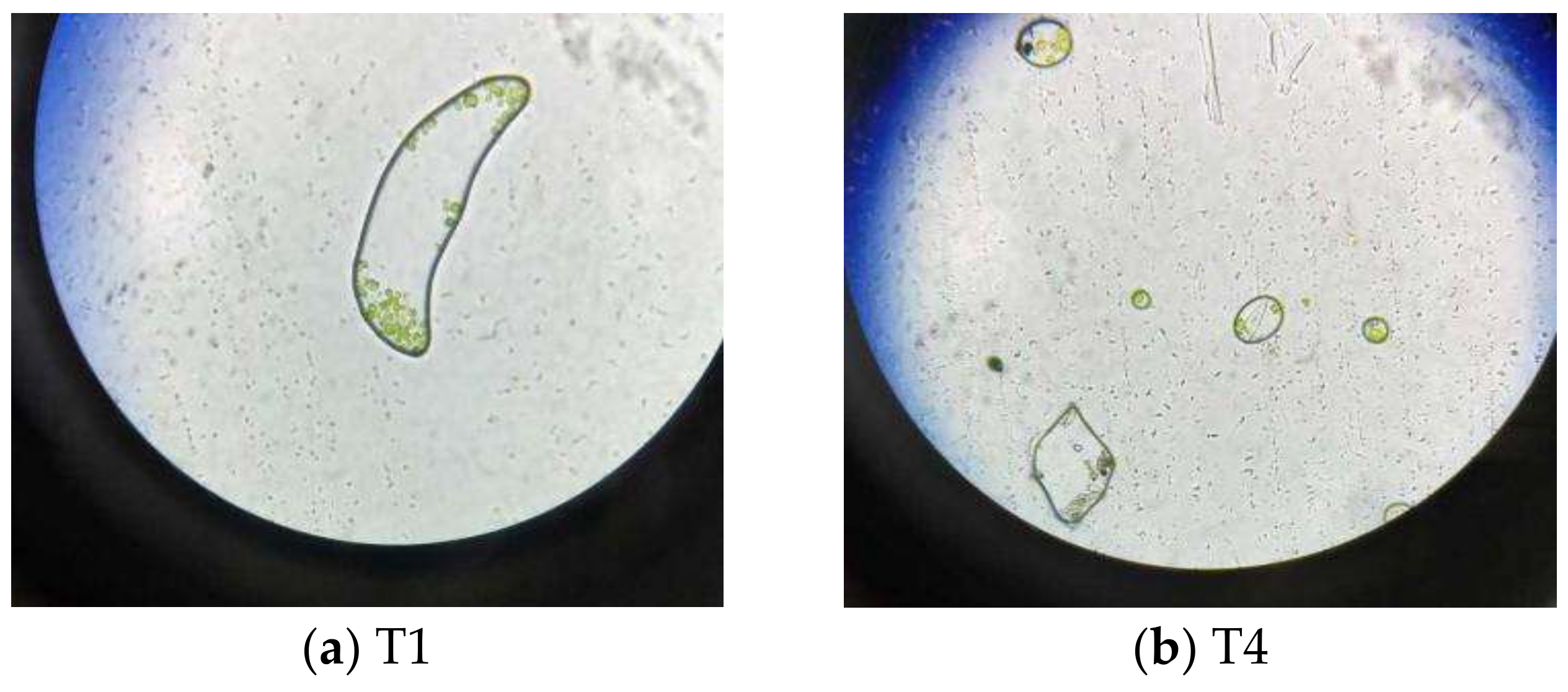 Materials 11 02181 g008