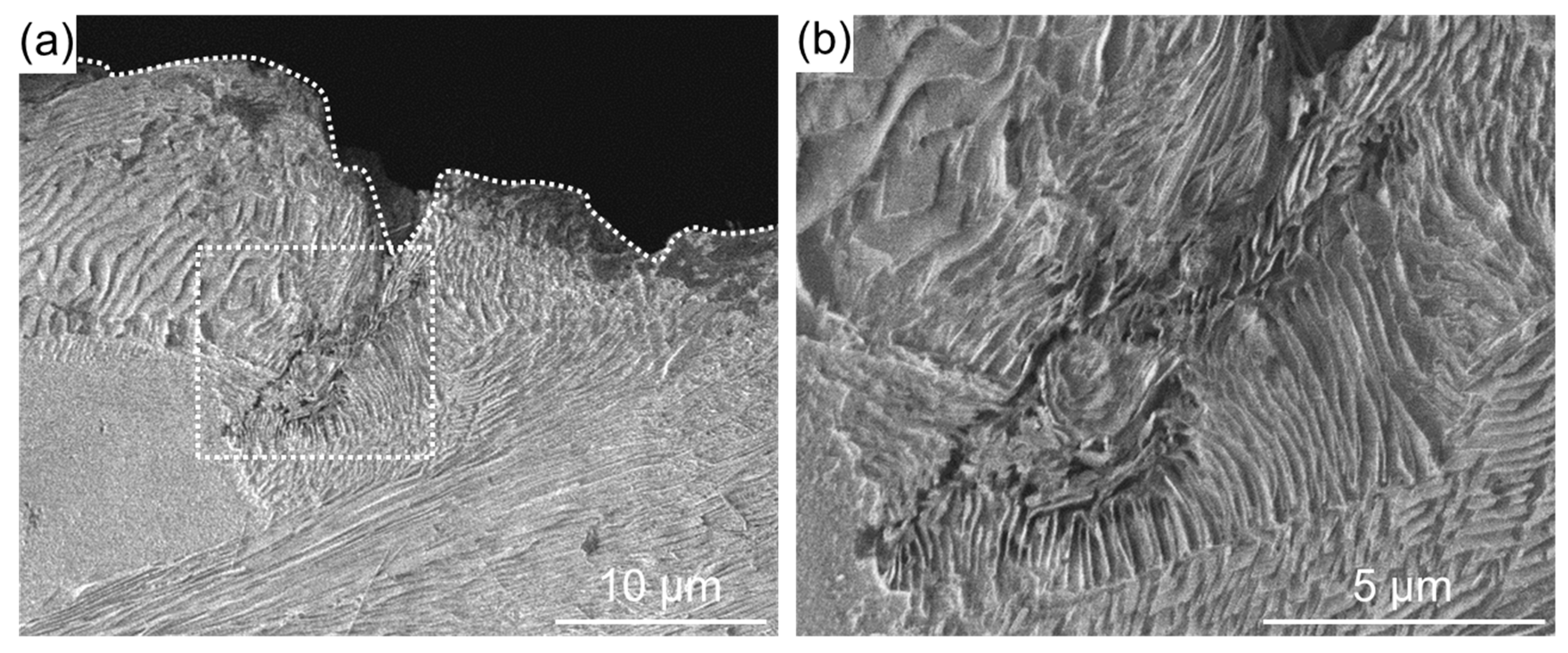 Materials 11 02291 g006