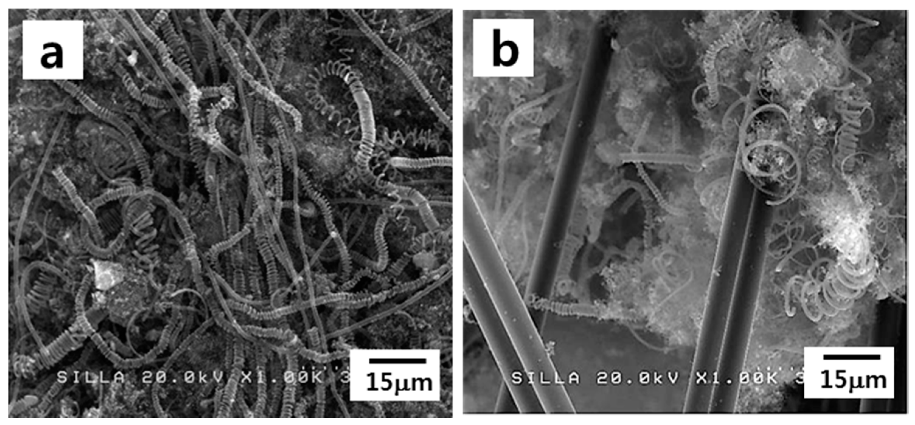 Materials 11 02344 g008