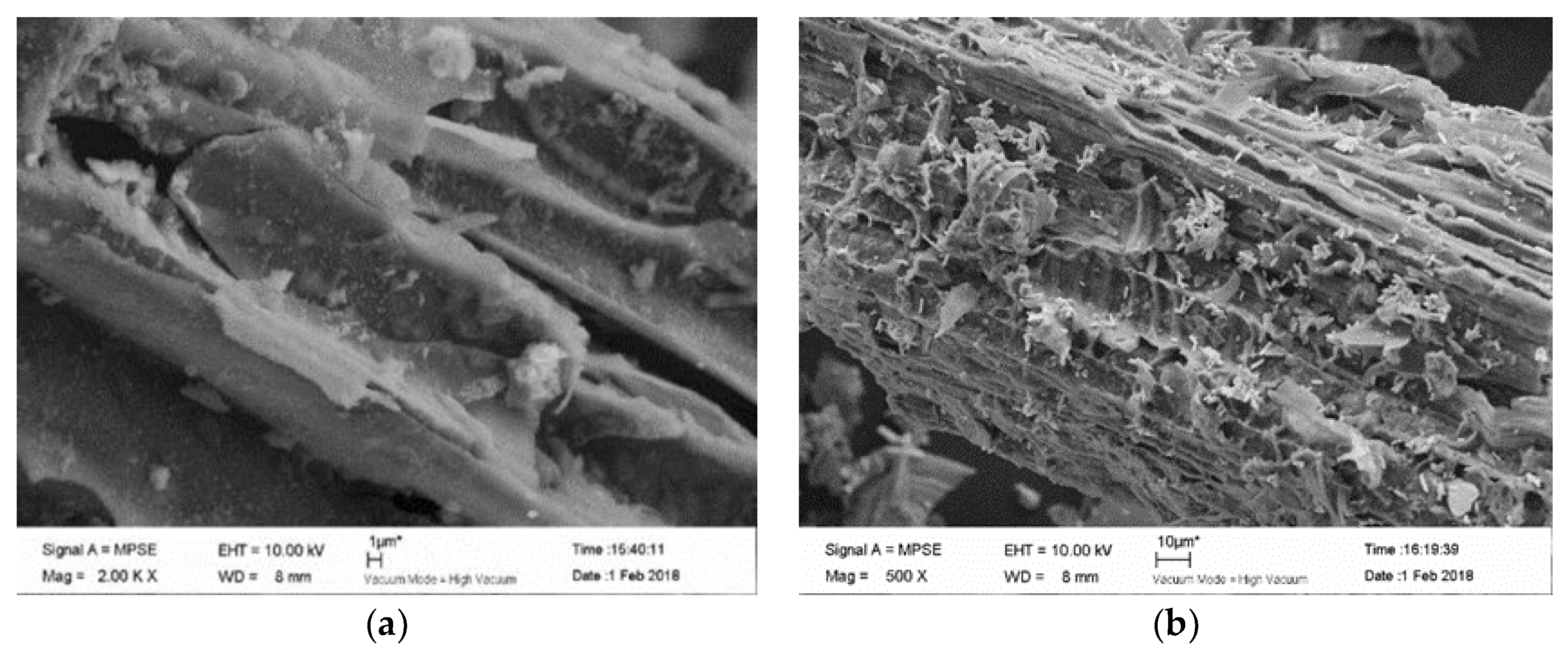 Materials 11 02445 g001a