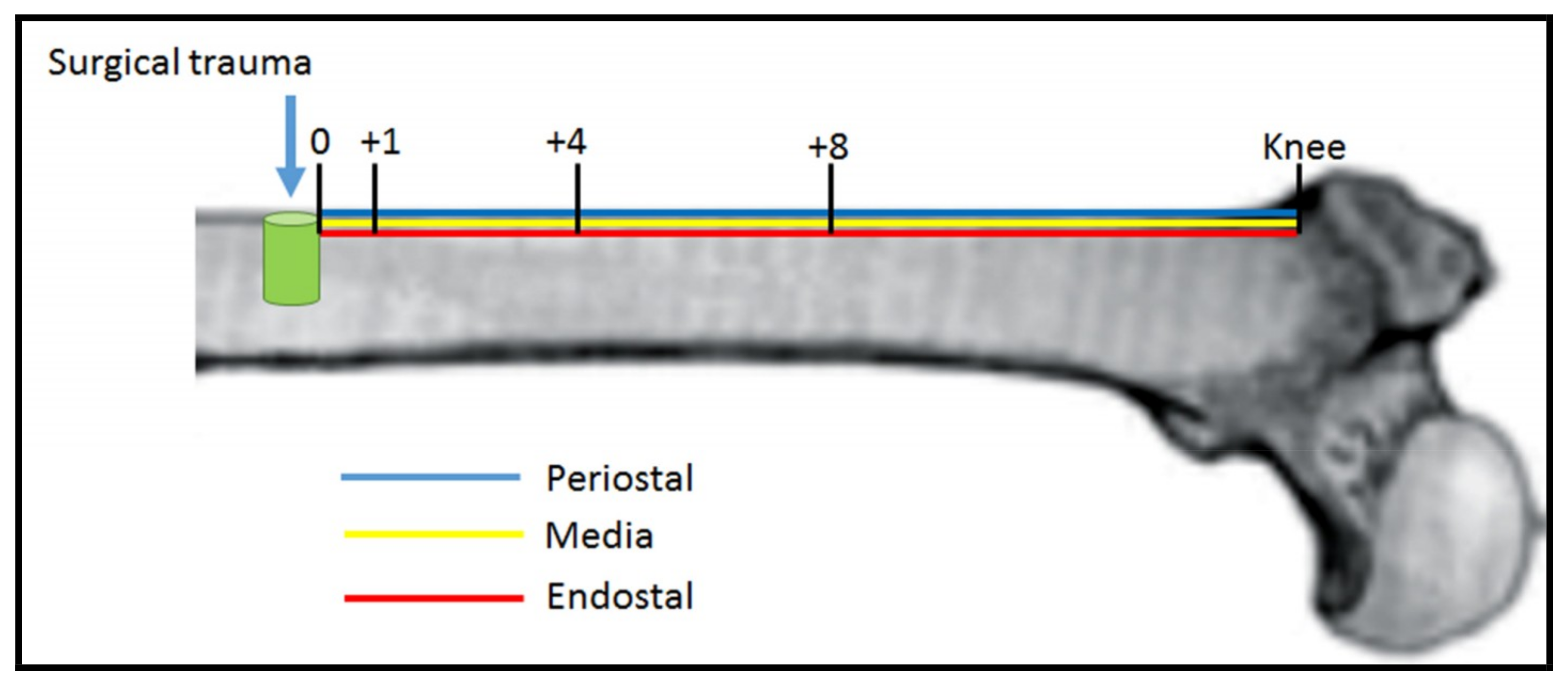 Materials 11 02532 g003