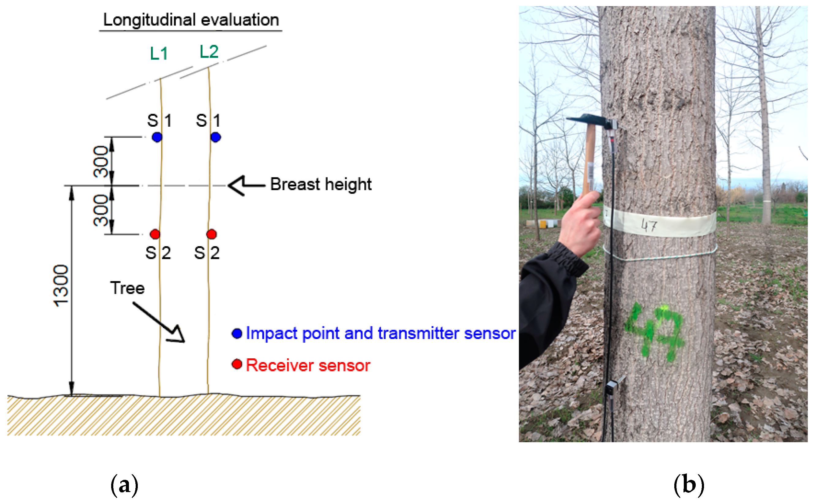 Materials 12 00356 g001