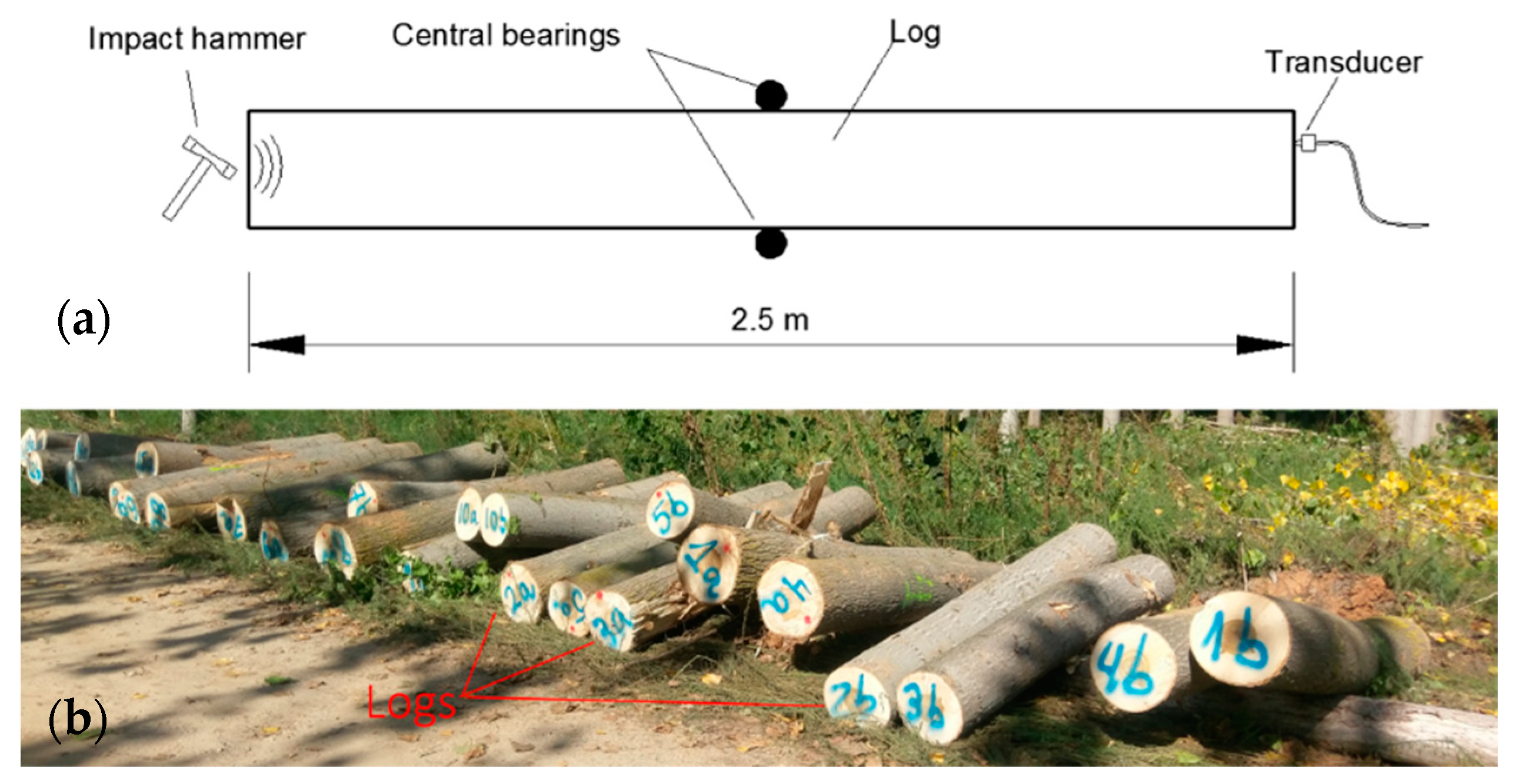 Materials 12 00356 g005