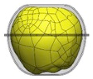 Materials 12 00467 i007