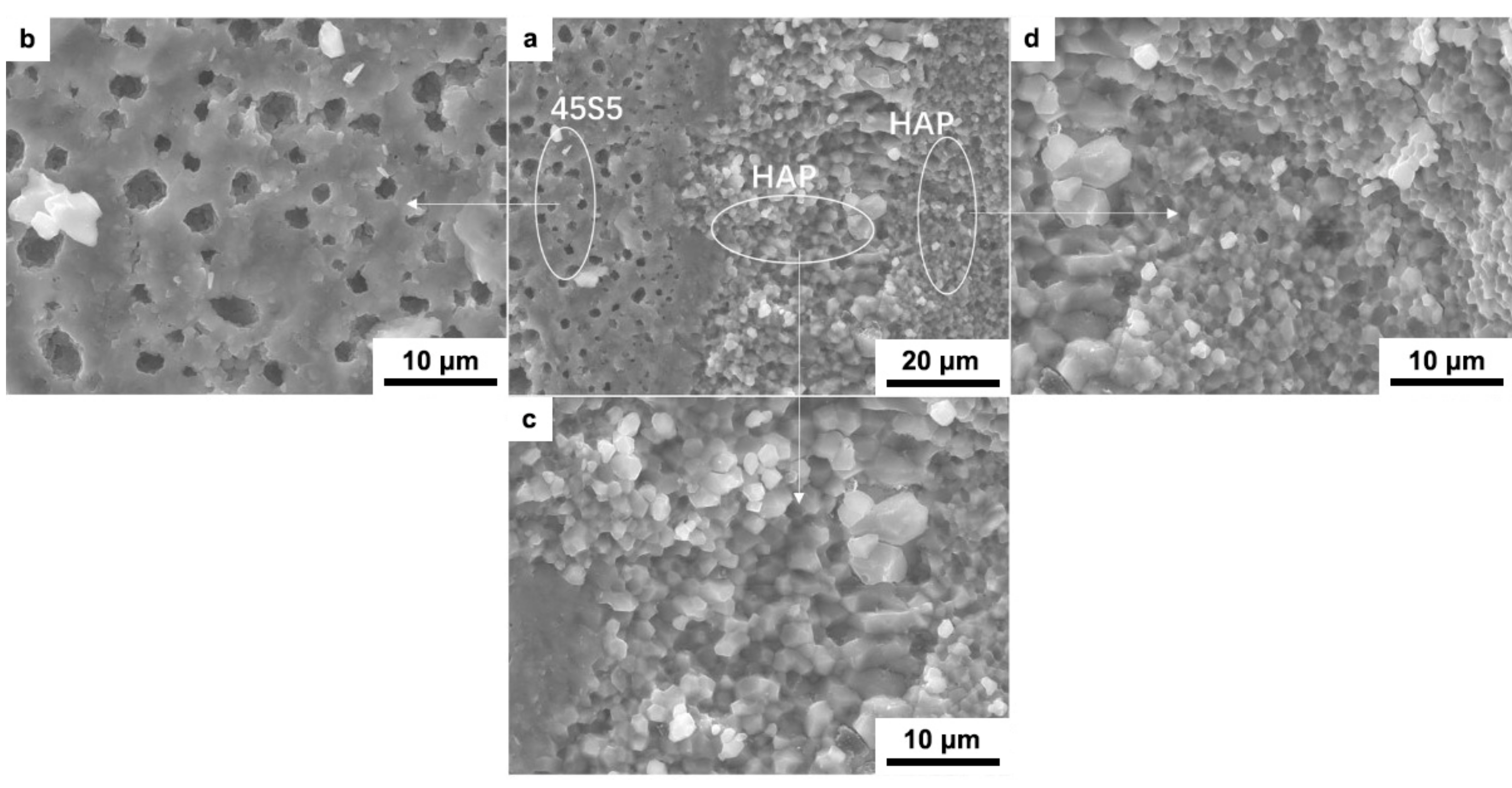 Materials 12 00484 g004