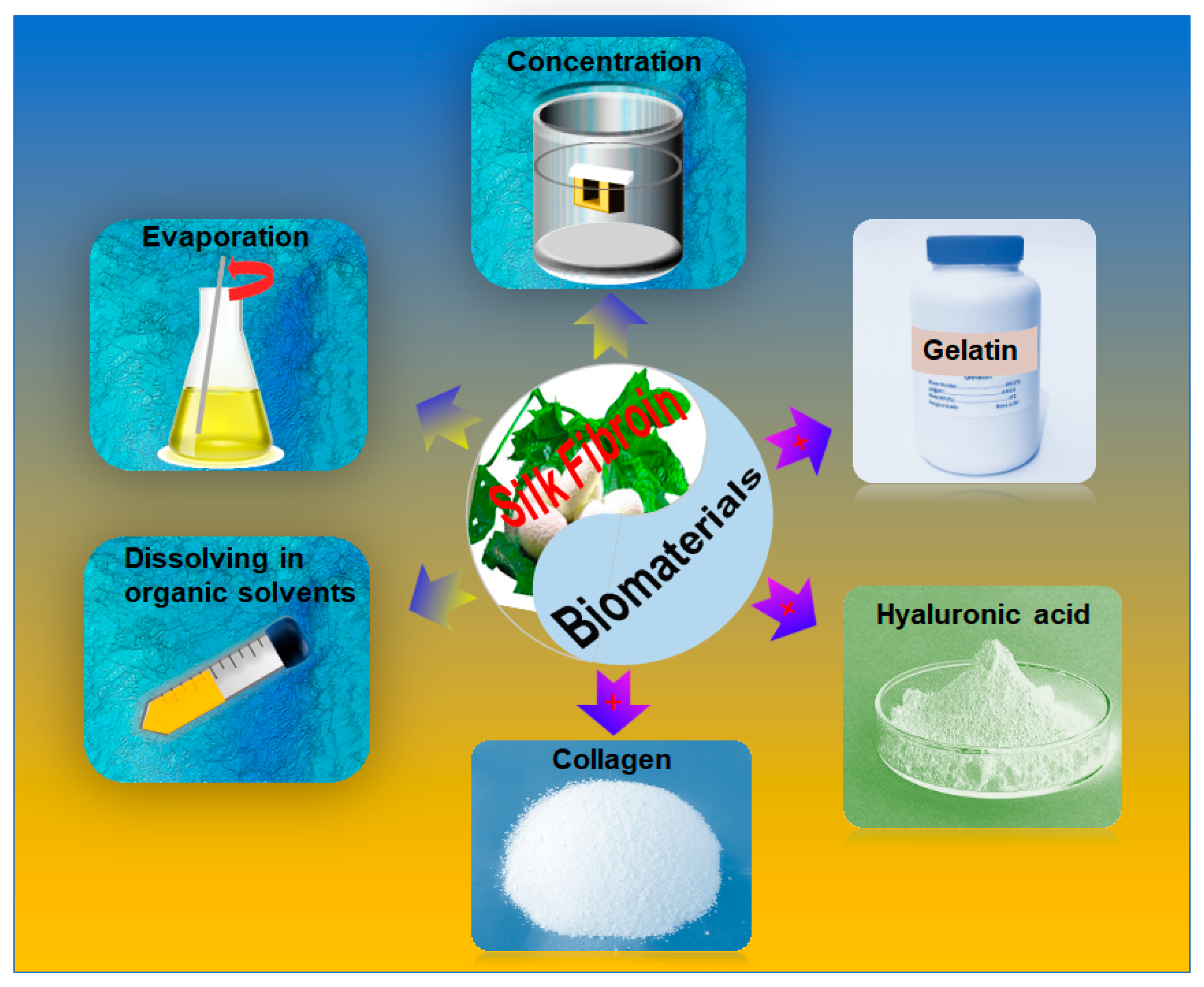 Materials 12 00504 g002