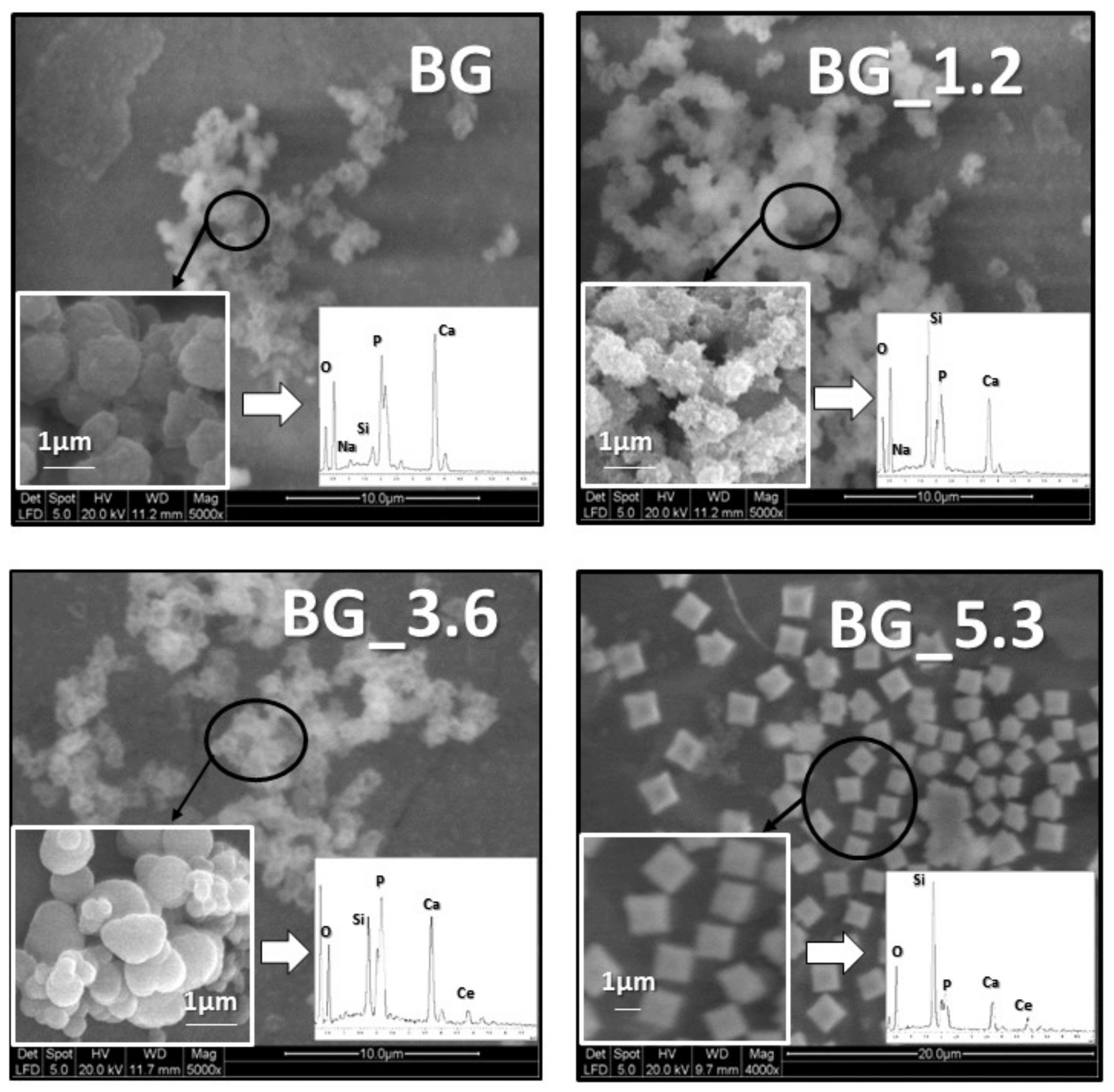 Materials 12 00594 g001