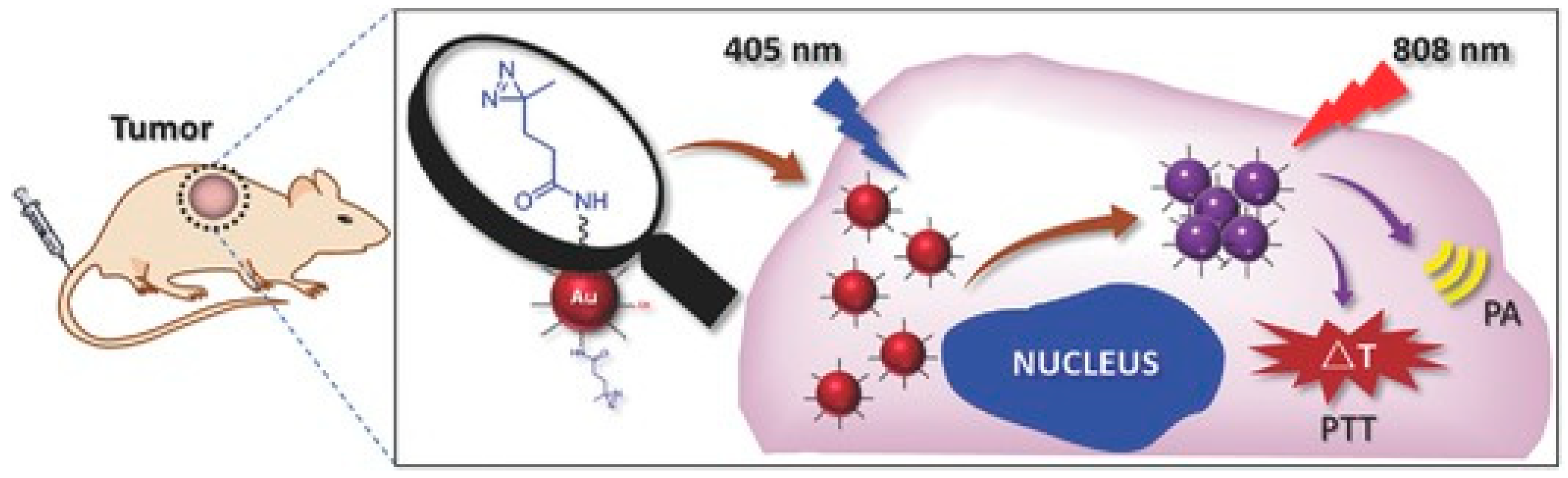 Materials 12 00779 g001