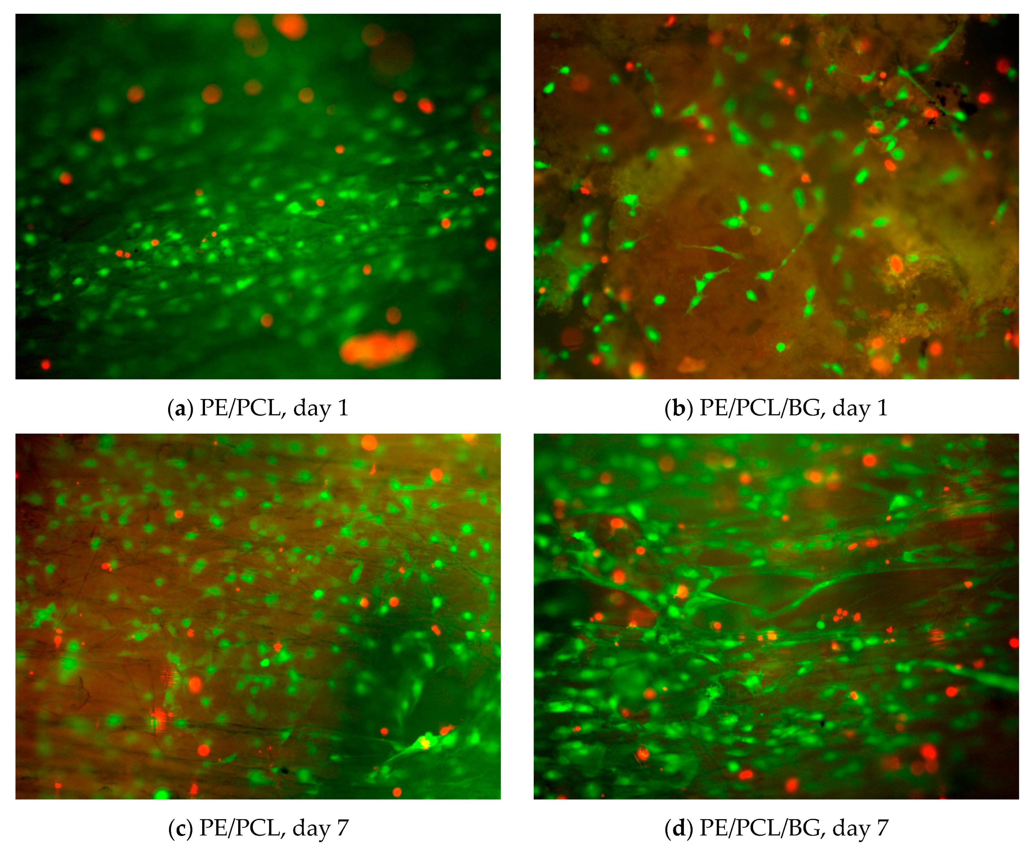 Materials 12 00916 g003
